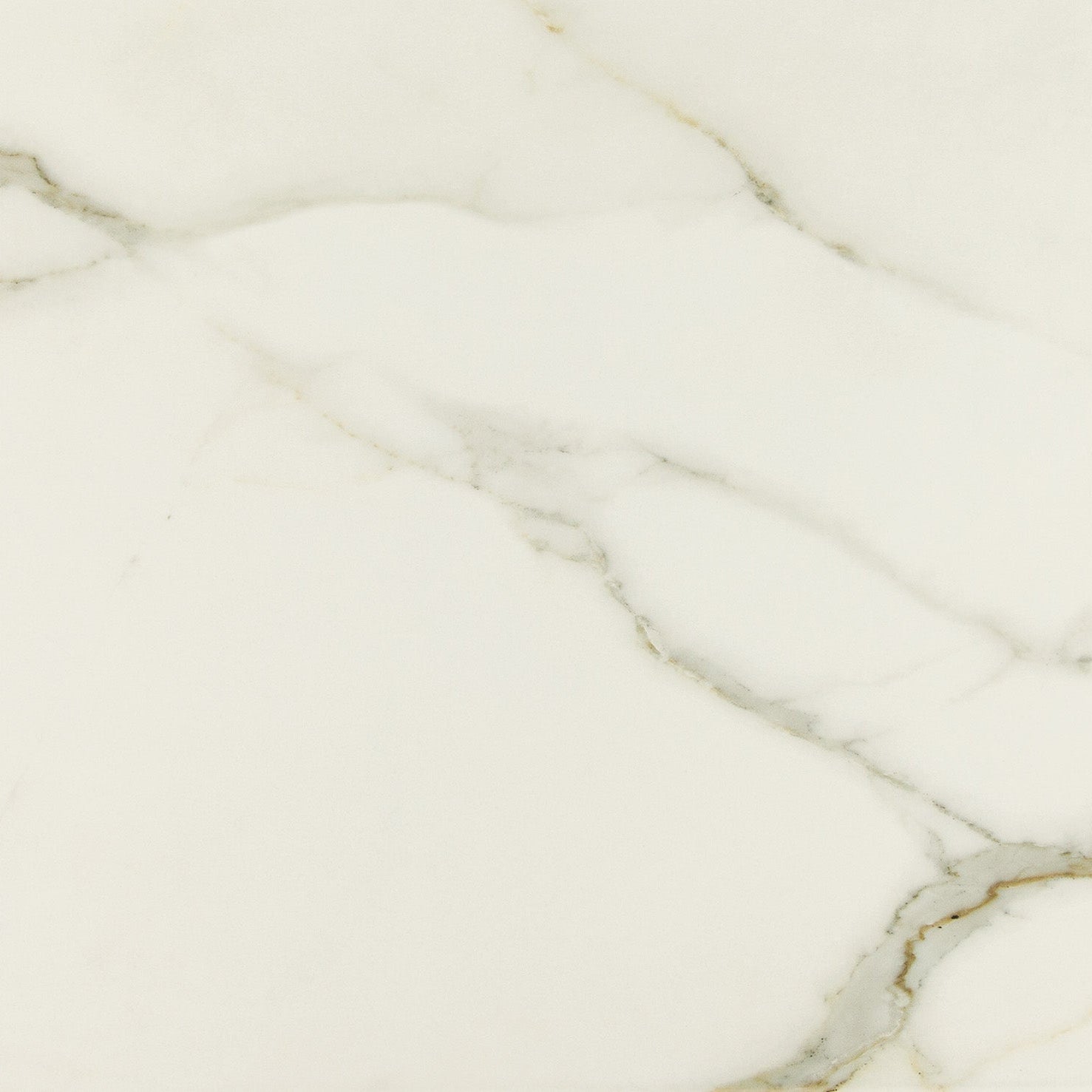 24"x48" Royal Calacatta Rectified Polished Porcelain Tile