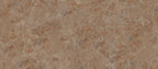 48"x110" Forest DF Polished Rectified 6MM