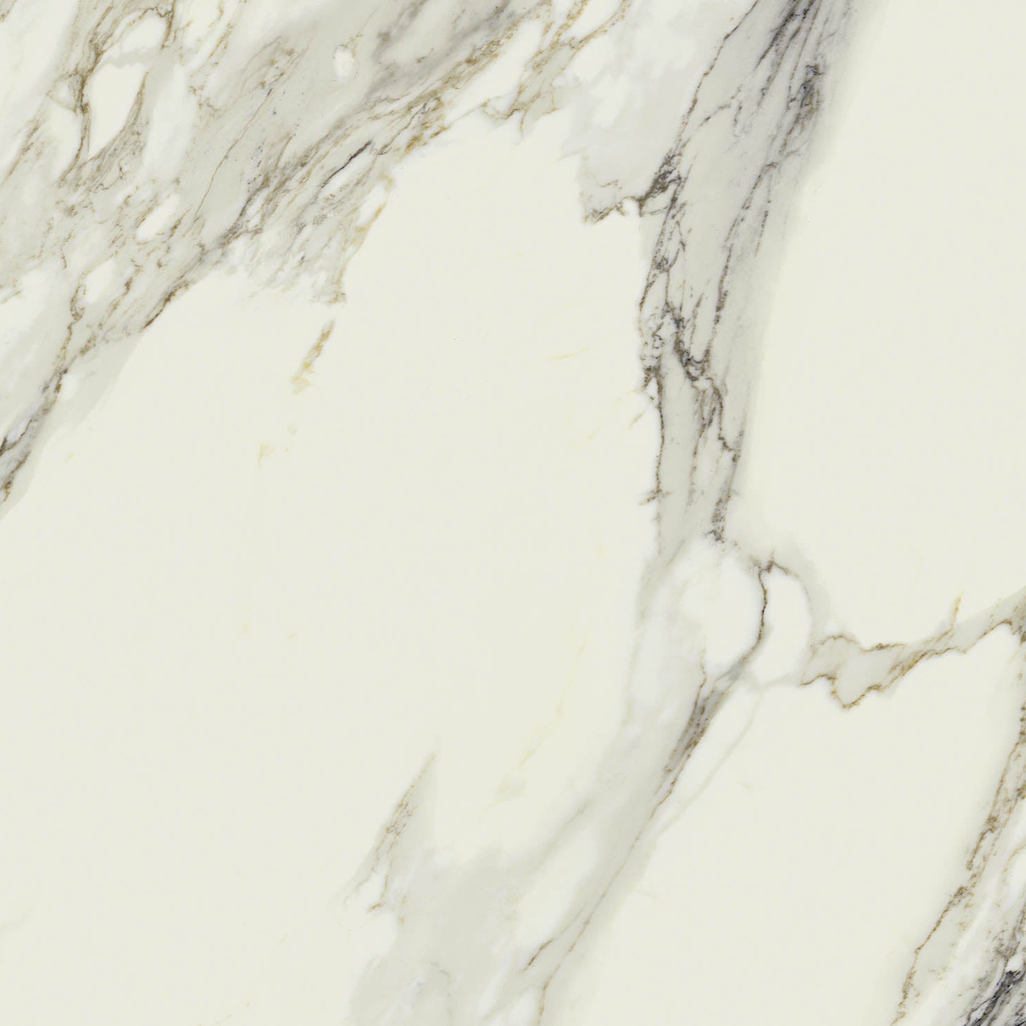 24"x48" Alba Rectified Polished Porcelain Tile