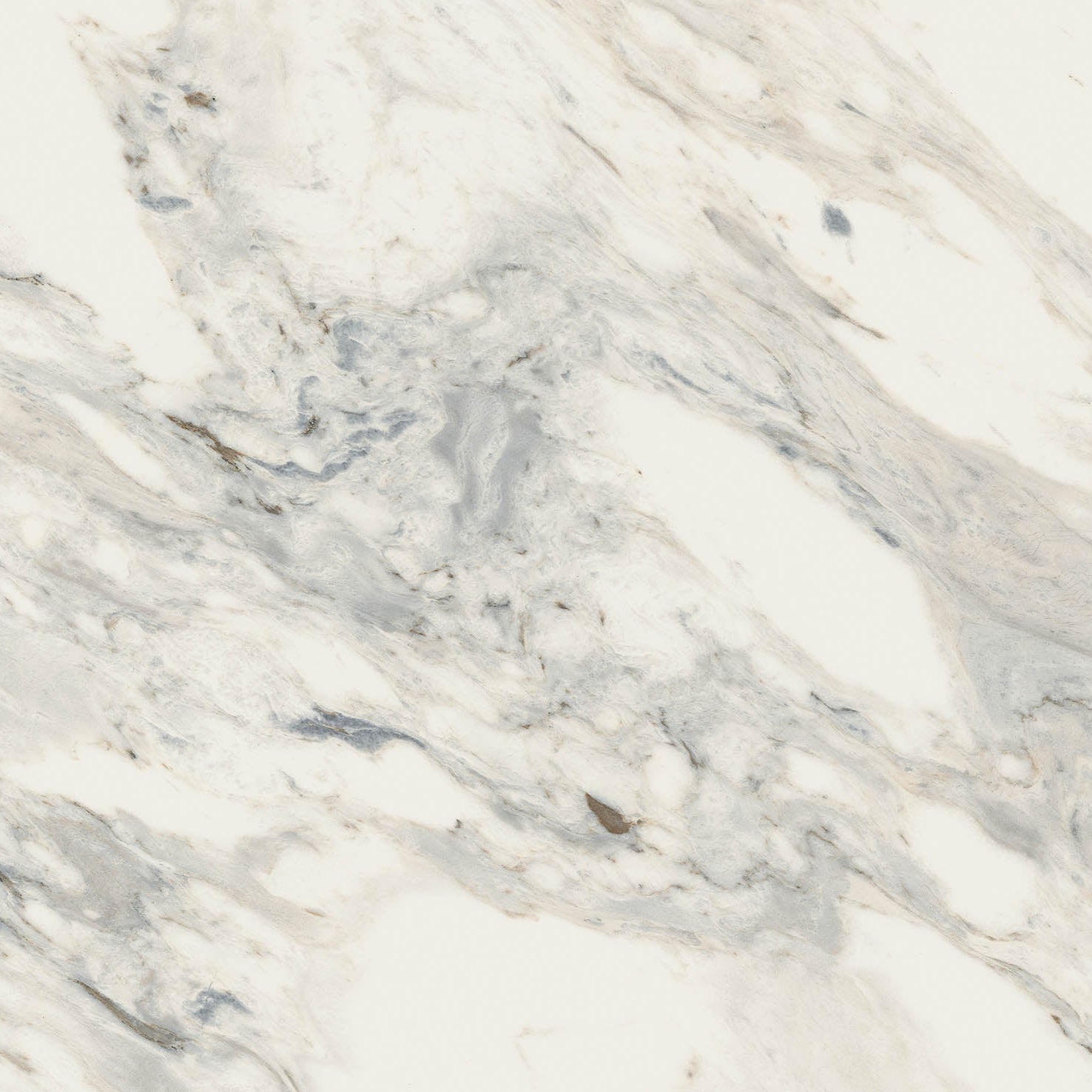 24"x48" Flora Rectified Polished Porcelain Tile