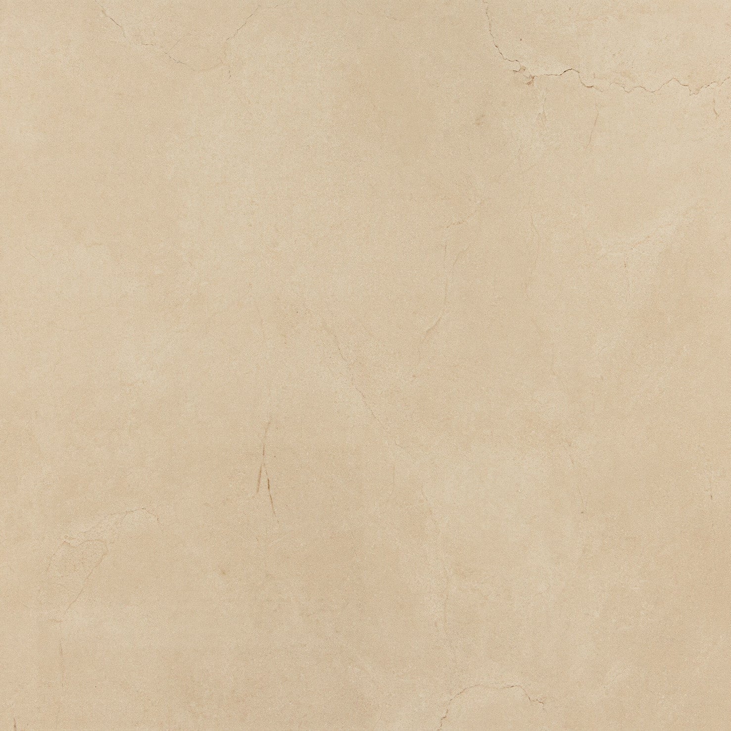 24"x48" Limra Rectified Polished Porcelain Tile