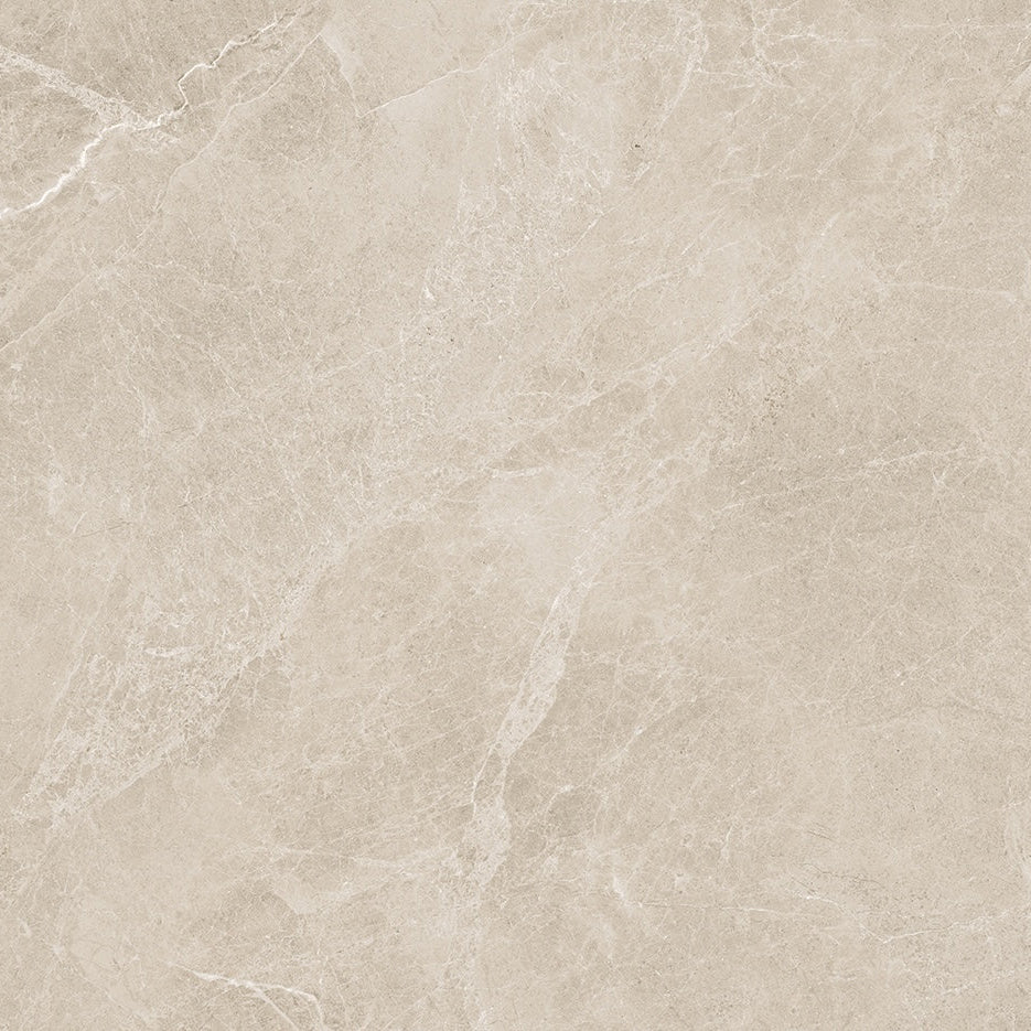 24x48 Swan Latte Rectified Polished