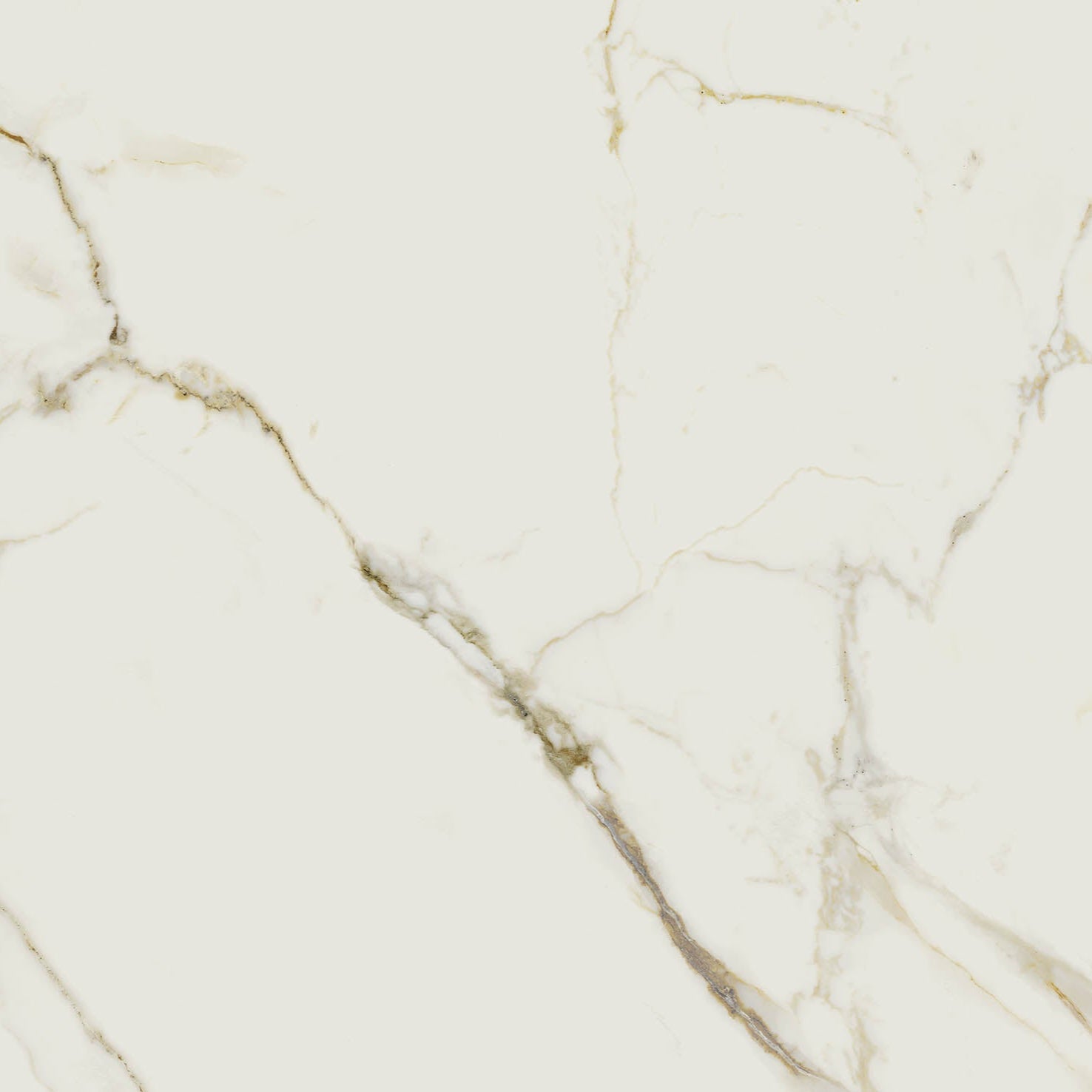 24"x48" Valeria Polished Porcelain Tile
