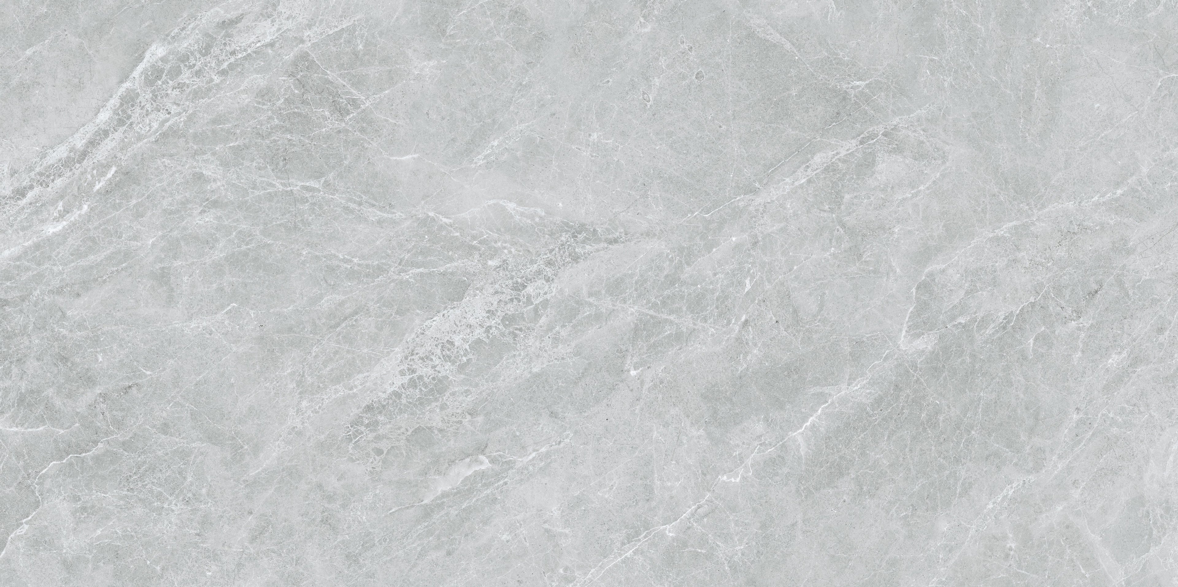 32"x64" Swan Gray Polished Rectified Porcelain Tile