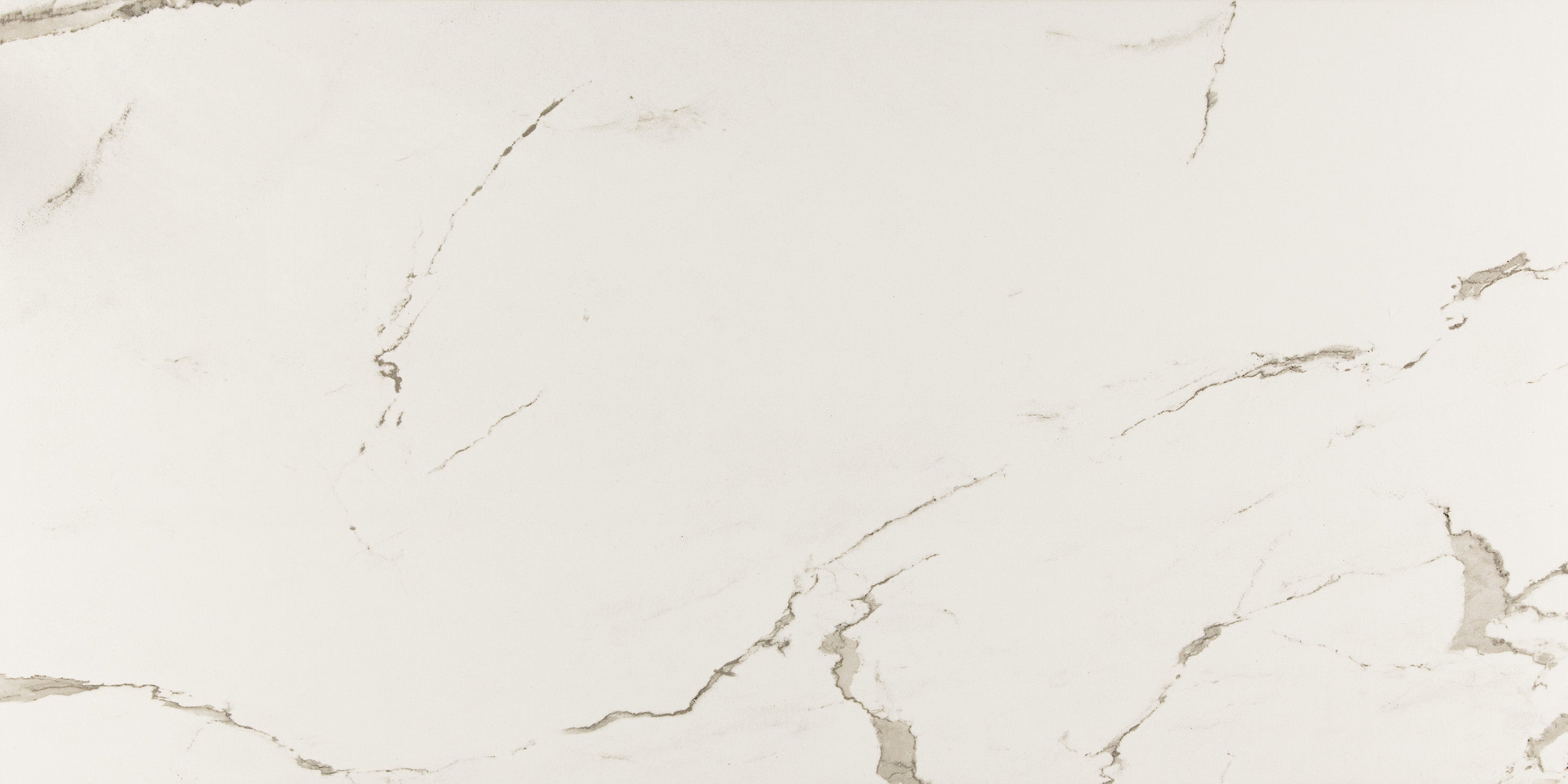 24"x48" Albatros Rectified Polished Nano