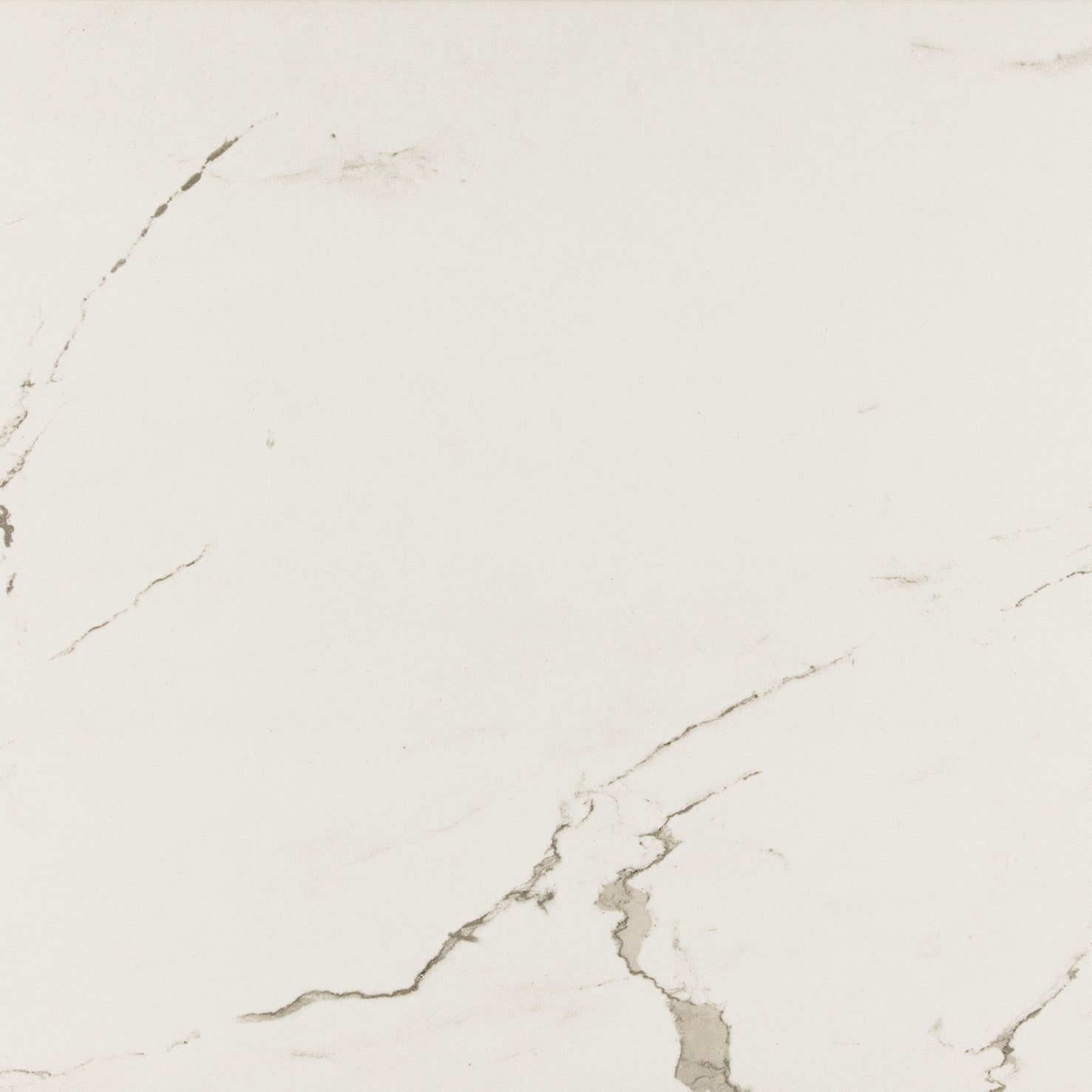 24"x48" Albatros Rectified Polished Porcelain Tile