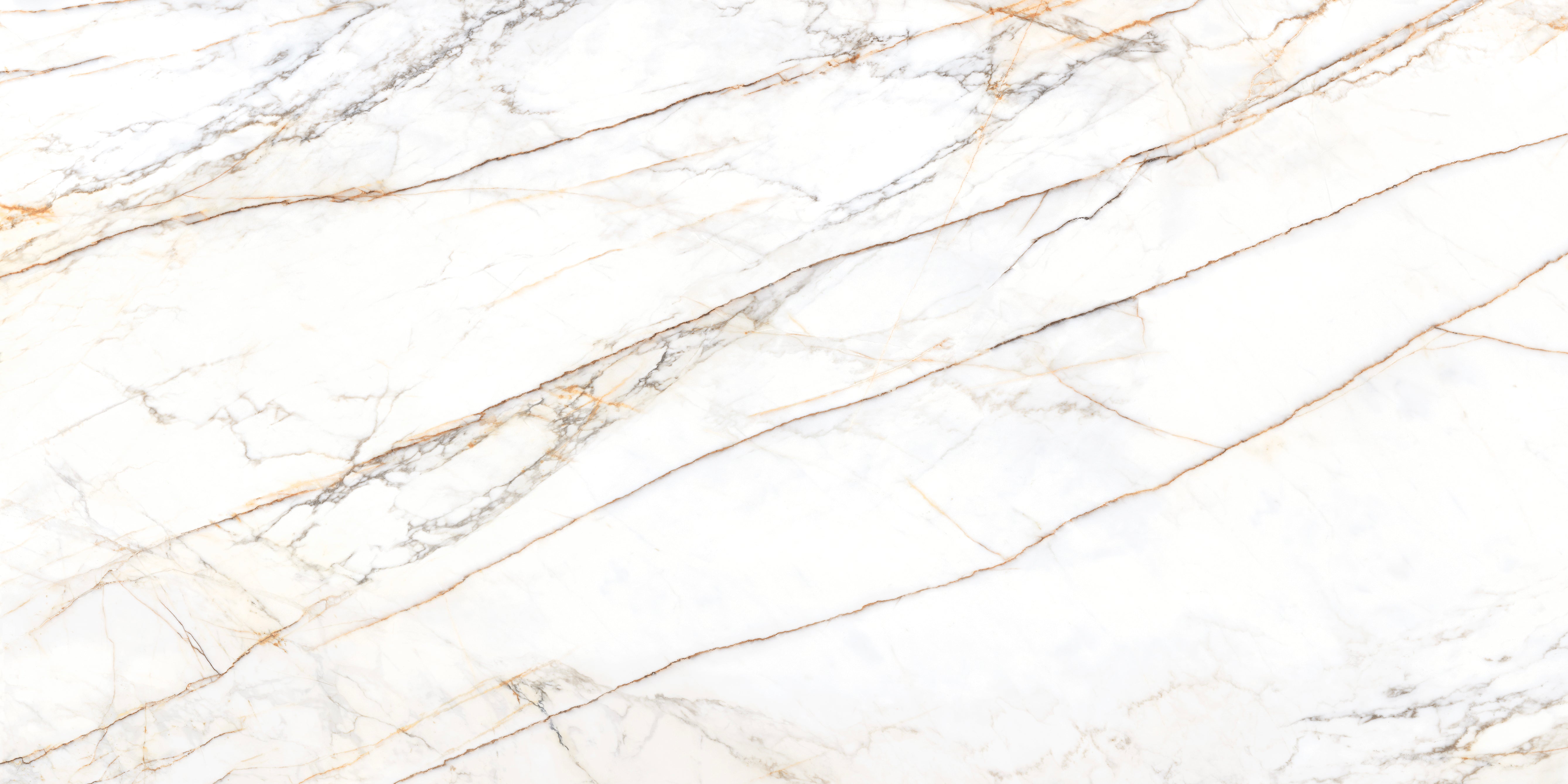 Bianco Paonazzo Porcelain Slab