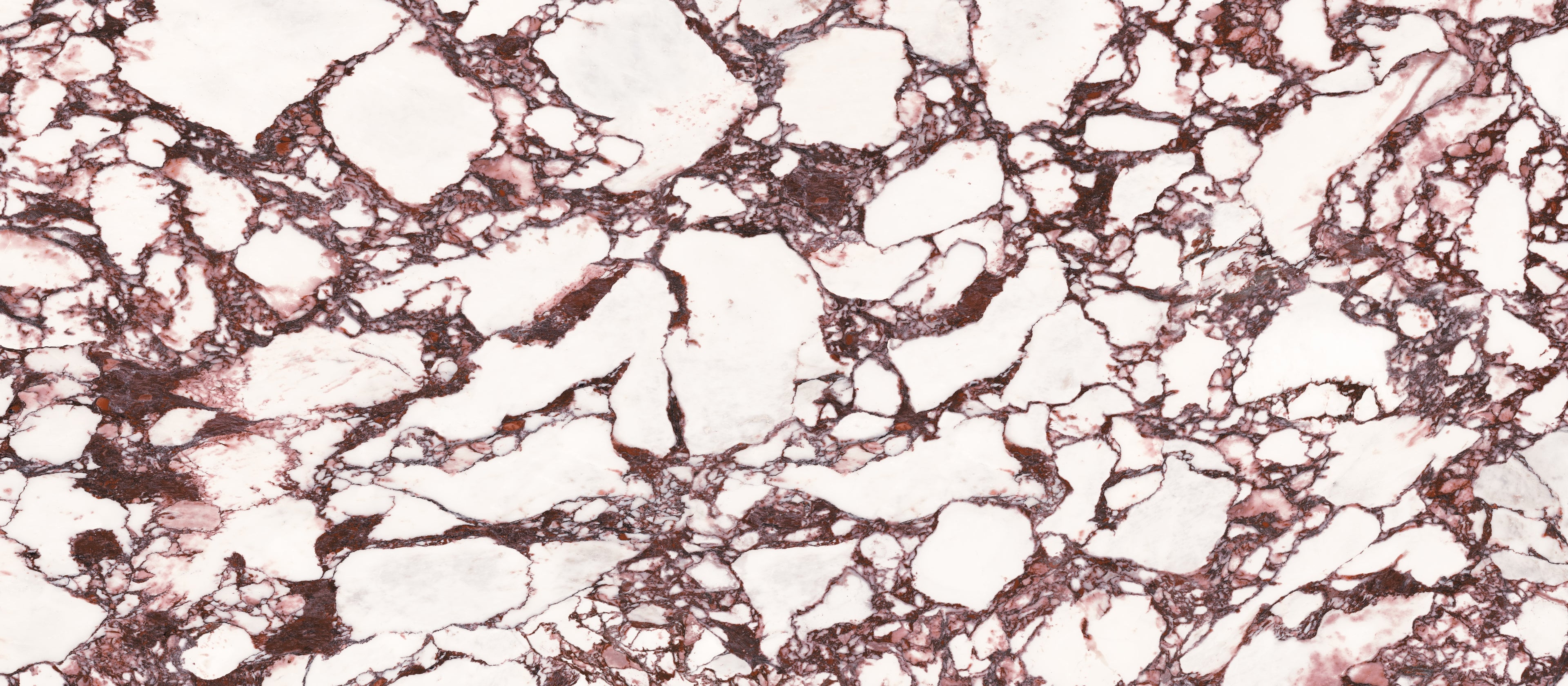 48"x110" Calacatta Violet Polished Rectified 6MM