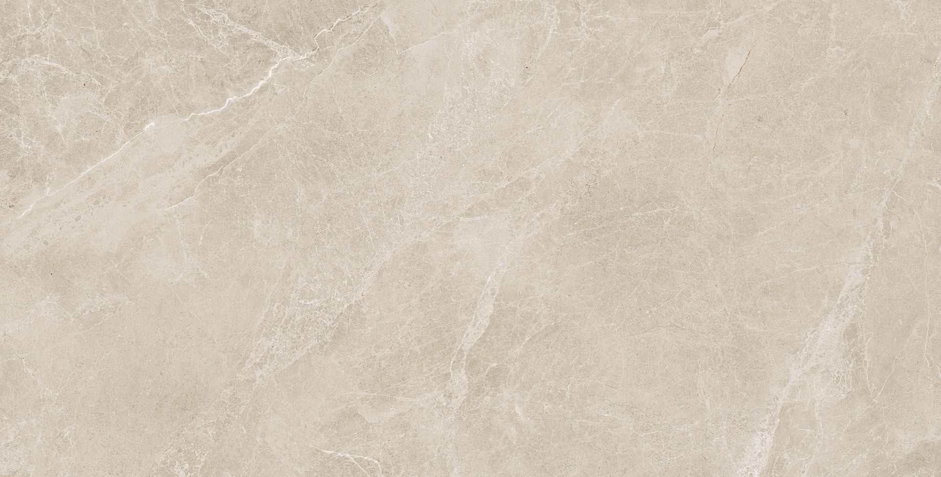 24"x48" Swan Latte Rectified Polished