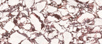 48"x110" Calacatta Violet Polished Rectified 6MM