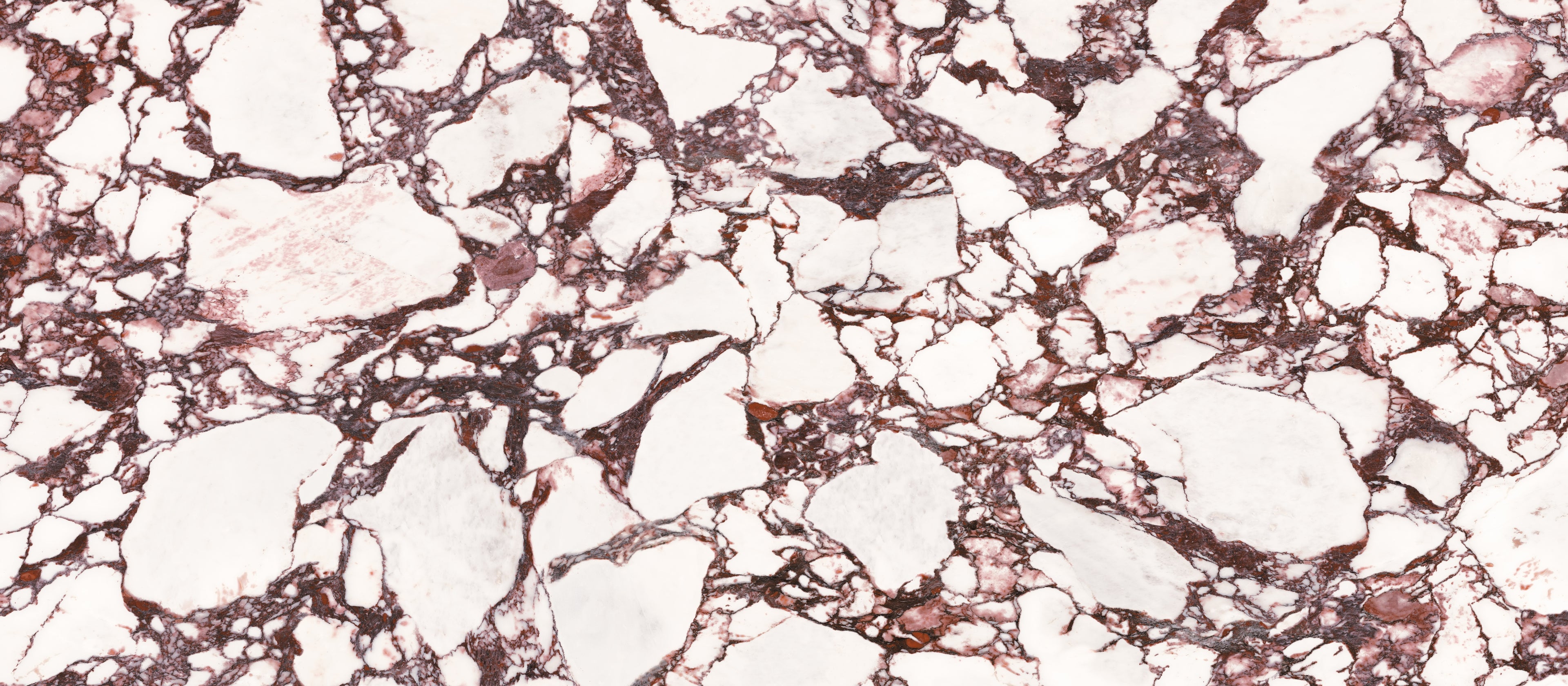 48"x110" Calacatta Violet Polished Rectified 6MM