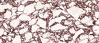 48"x110" Calacatta Violet Polished Rectified 6MM