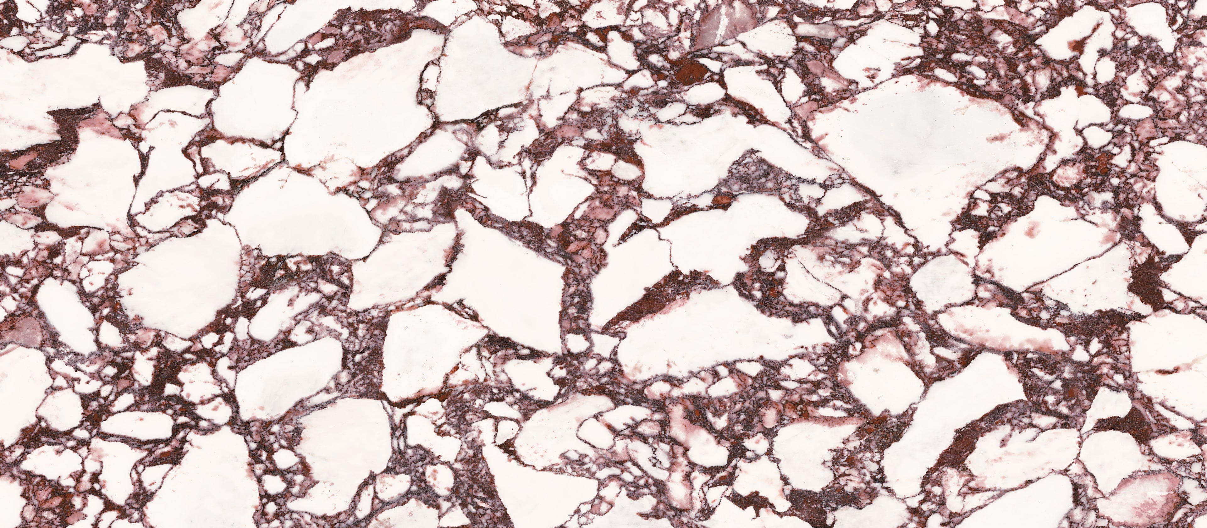 48"x110" Calacatta Violet Polished Rectified 6MM