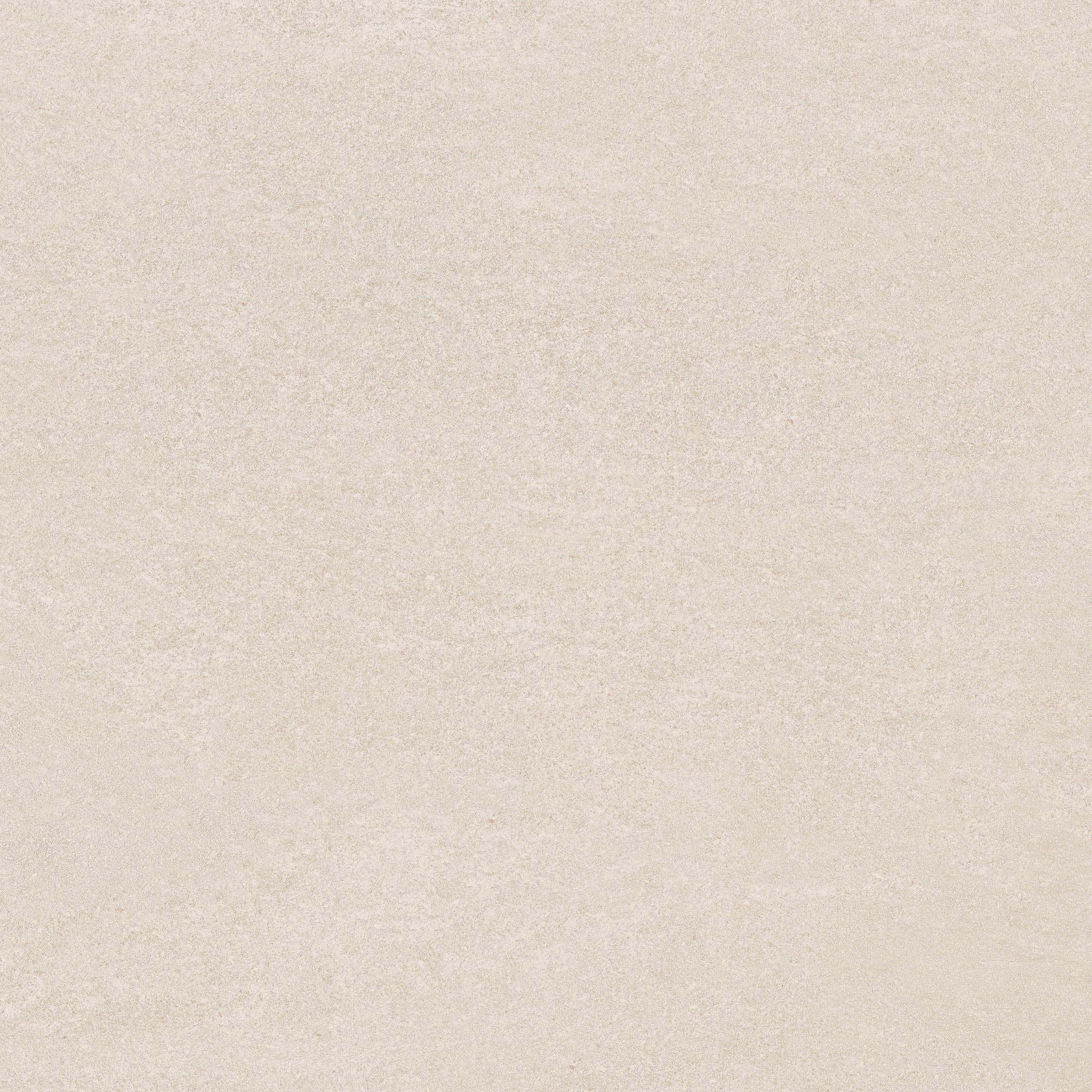 24"x24" Leonardo Bone Rectified 20 mm Matte