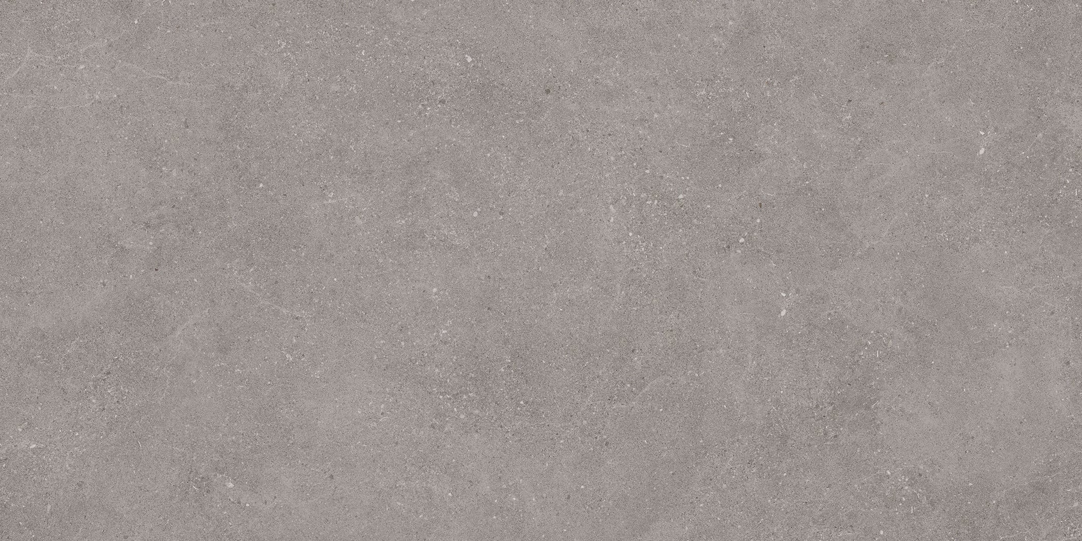 32"x64" Padova Grey Rectified