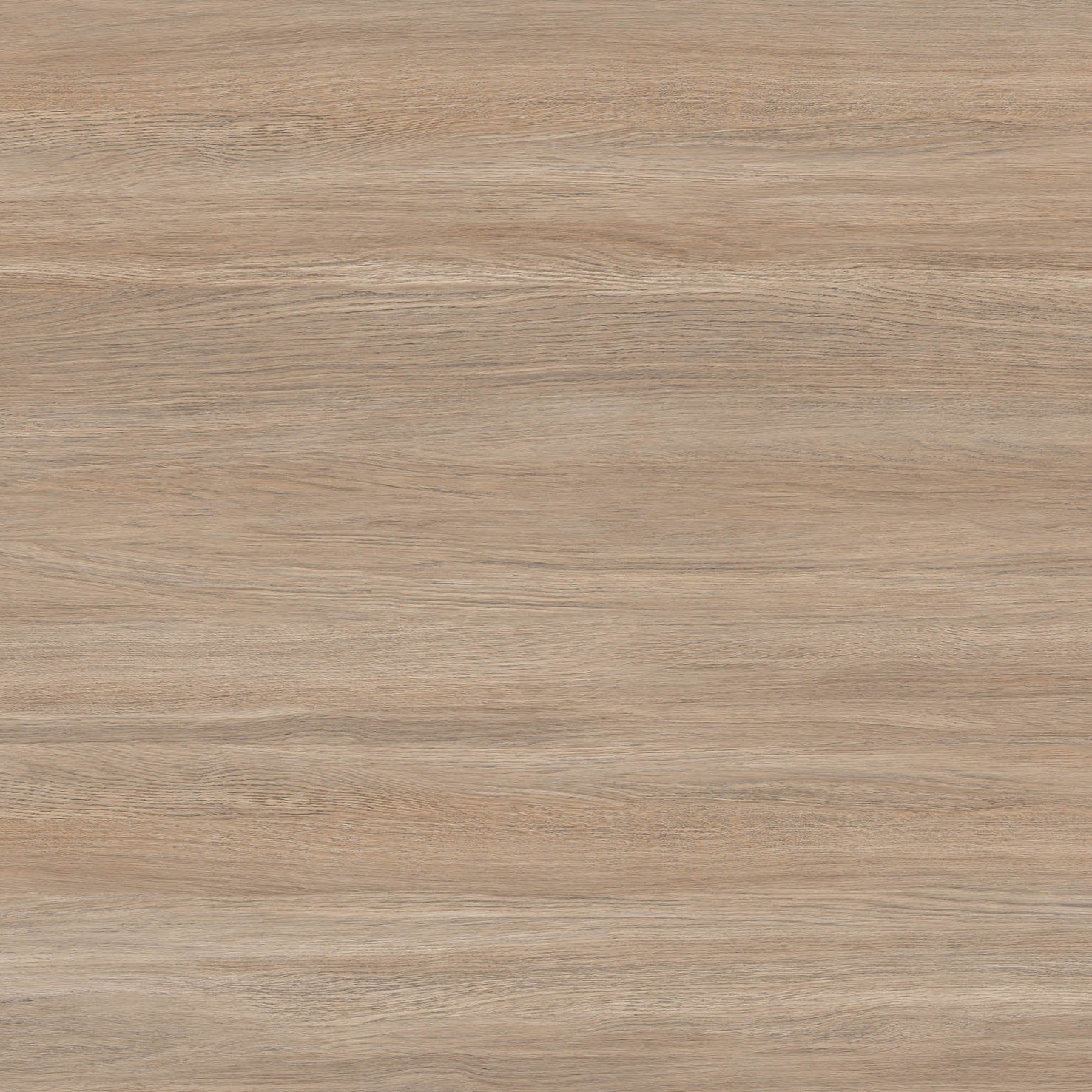 64"x 128" Palmwood Natural Porcelain Slab