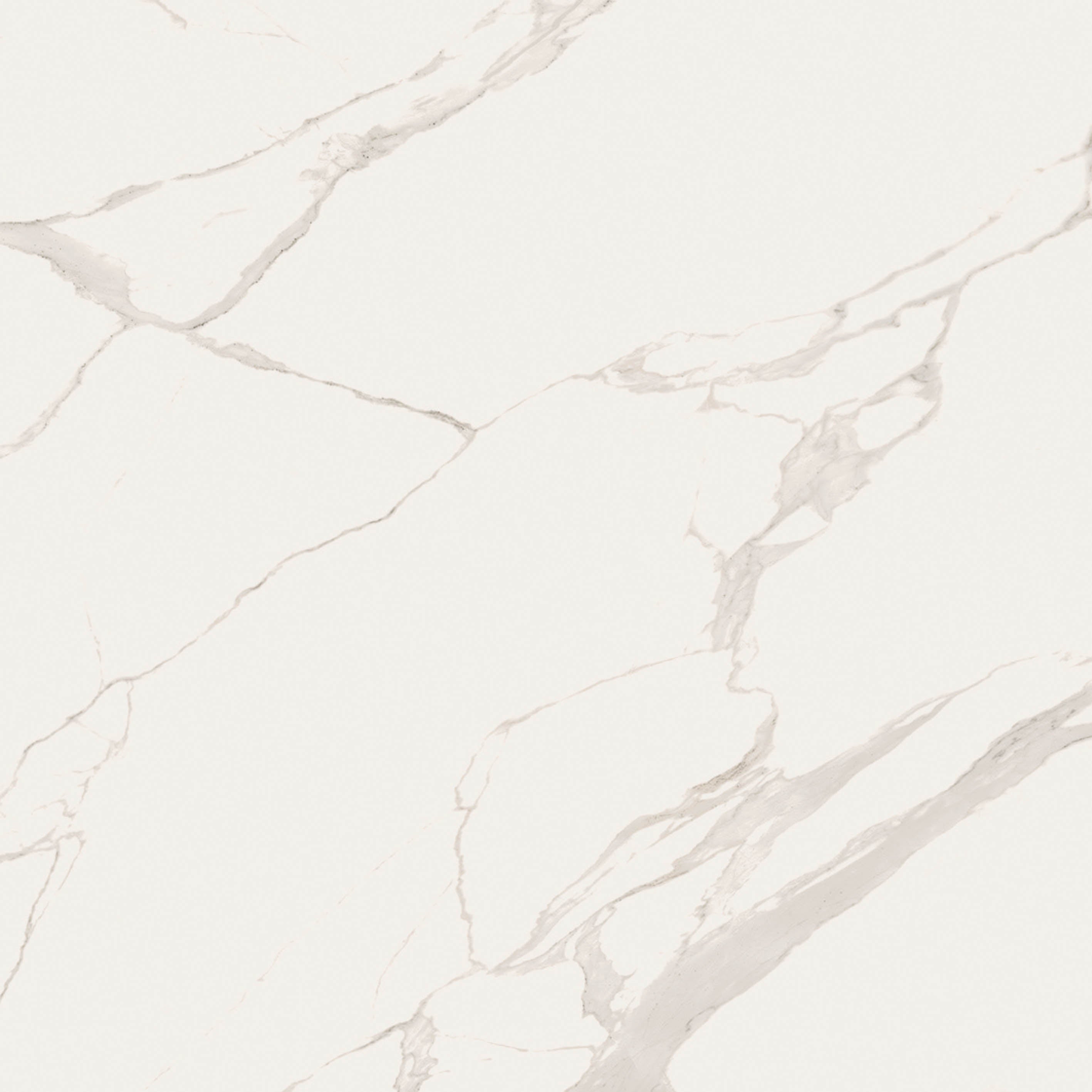 48"x48" Statu Rectified Matte