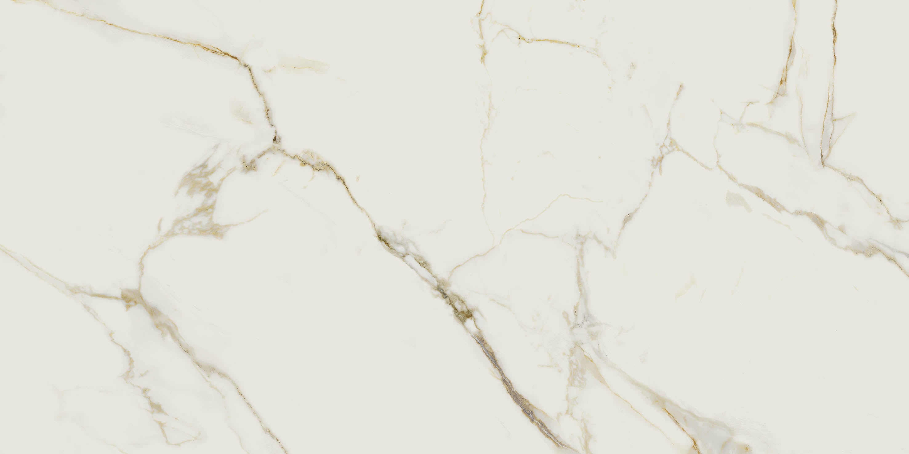 24"x48" Valeria Polished