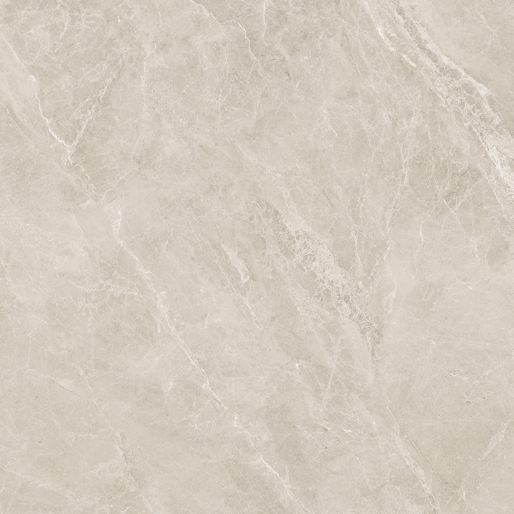 48"x48" Swan Latte Rectified Polished Porcelain Tile