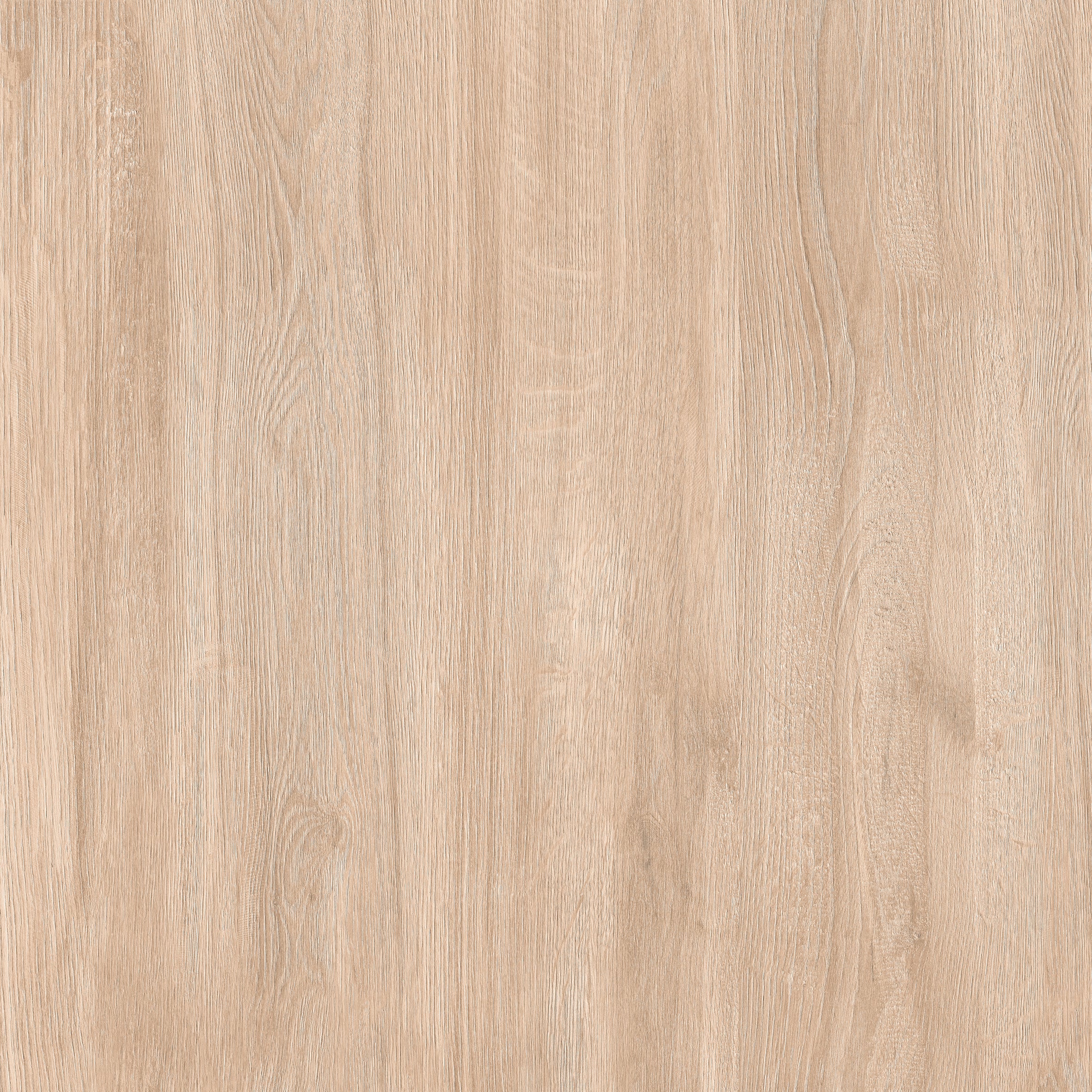 24"x24" Sakura Beige 20MM R11 Rectified