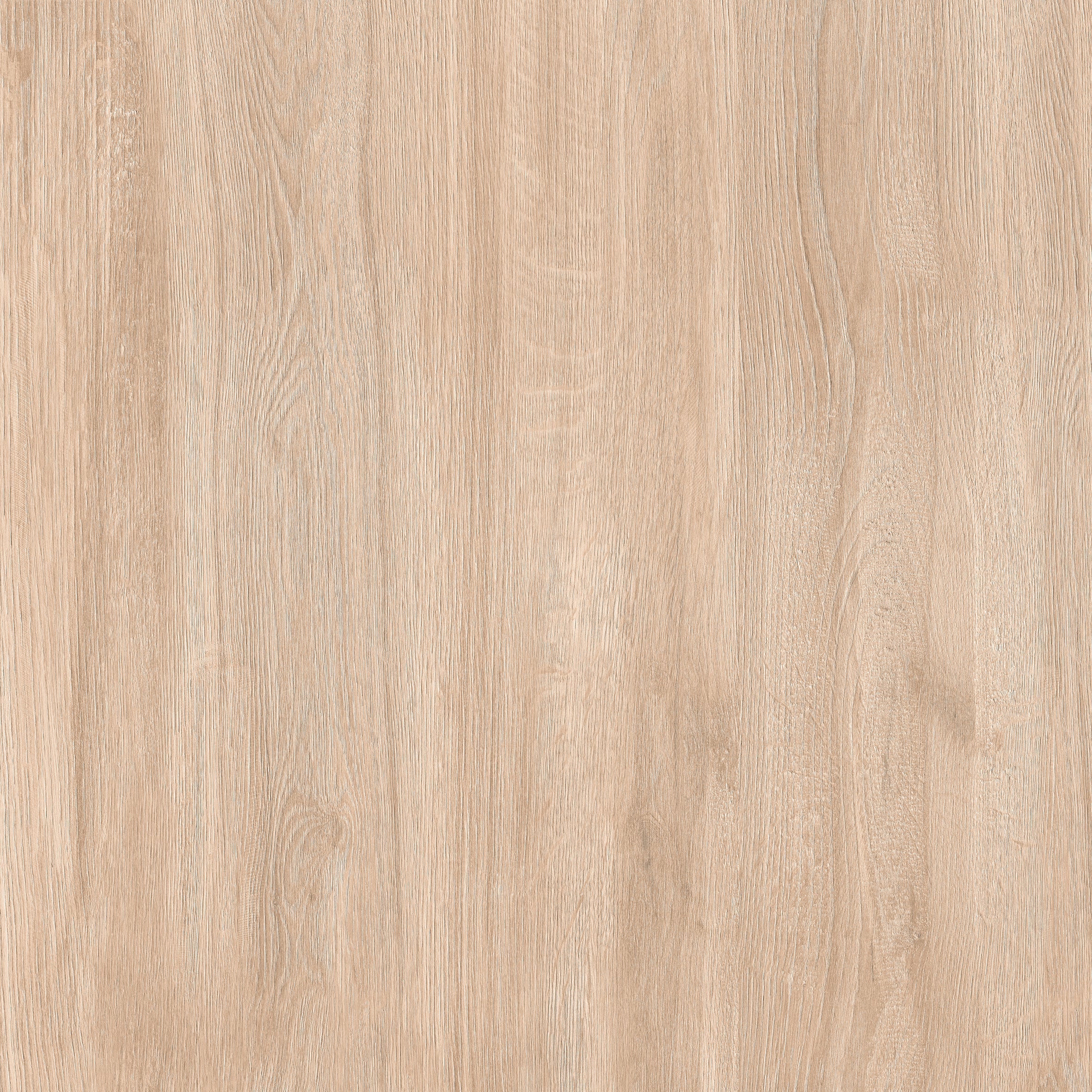 24"x24" Sakura Beige 20MM R11 Rectified