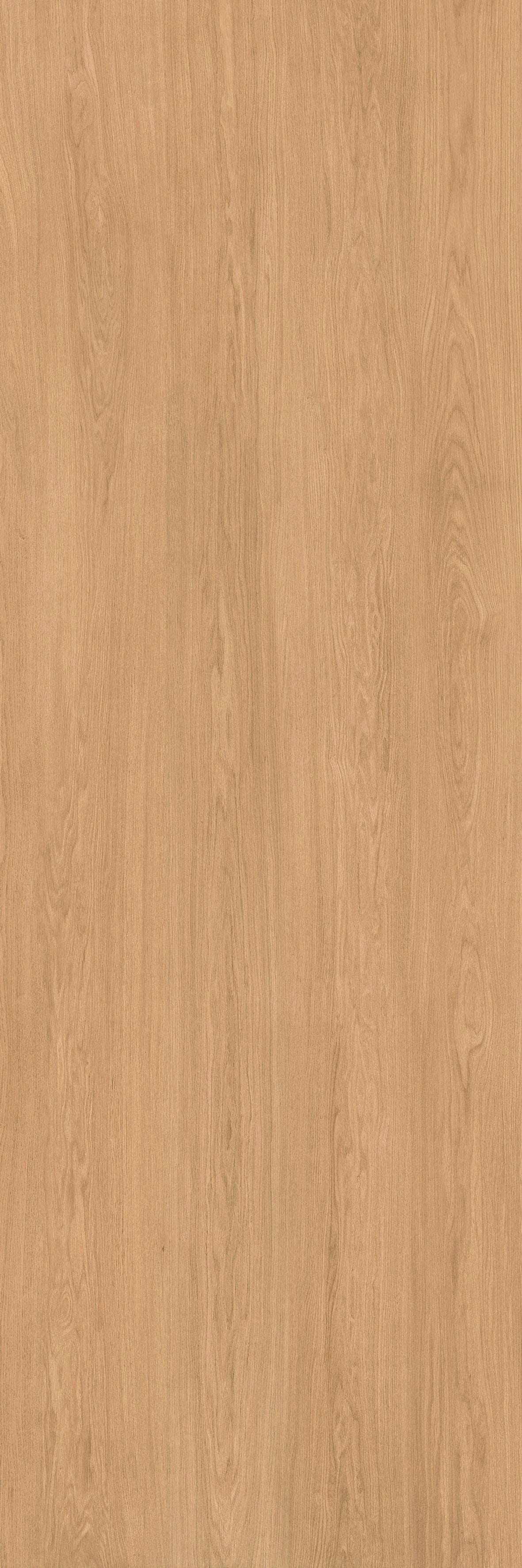 40"x120" Urbano Matte Oak Rectified 3MM Slim