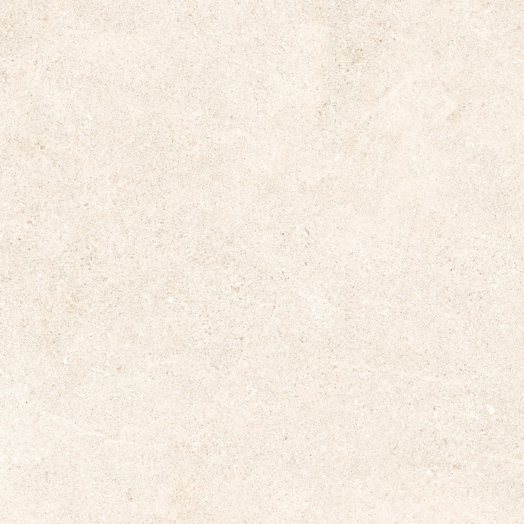 24"x48" Padova Bone 20MM R11 Rectified