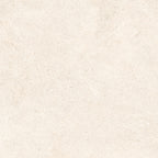 24"x48" Padova Bone 20MM R11 Rectified