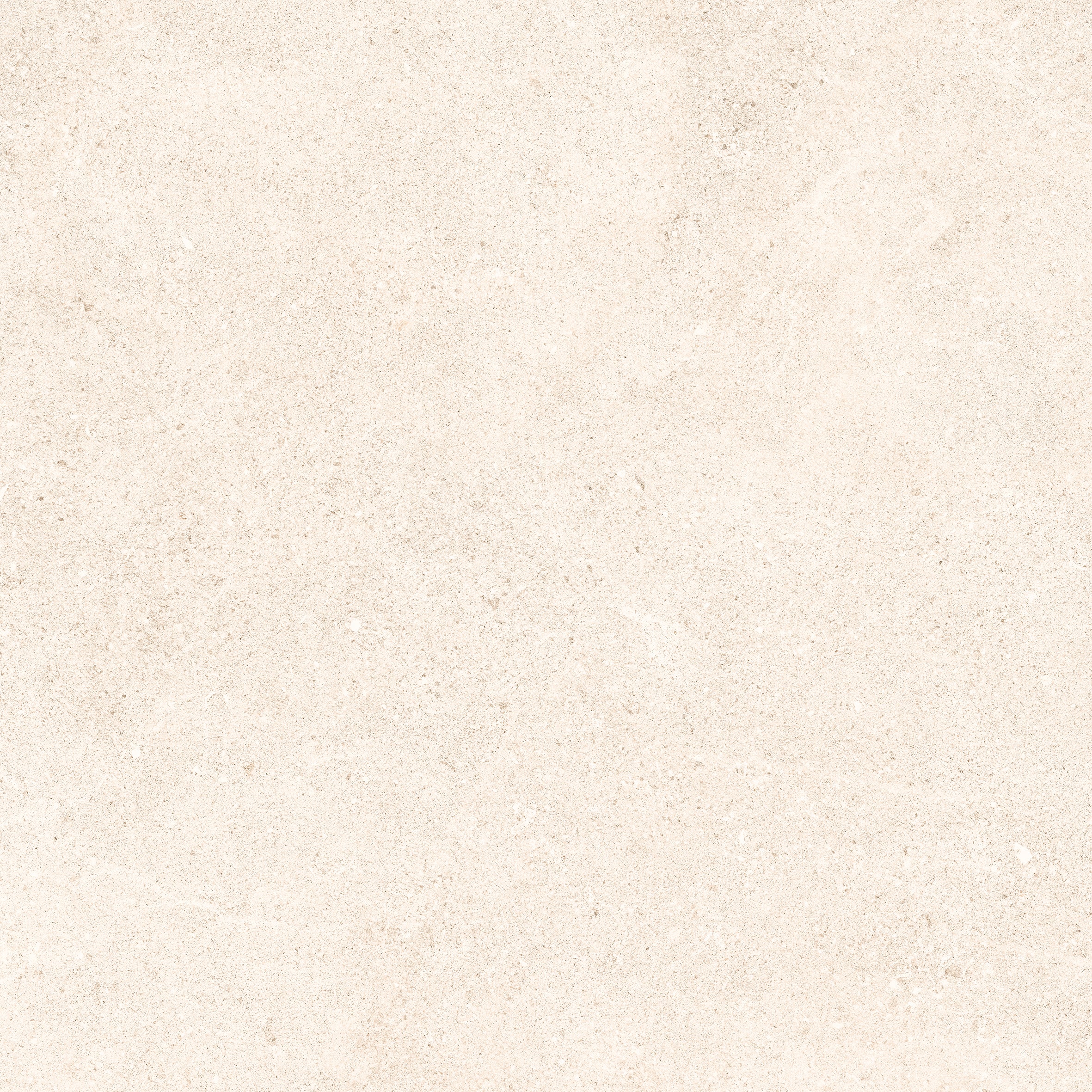 24"x48" Padova Bone 20MM R11 Rectified