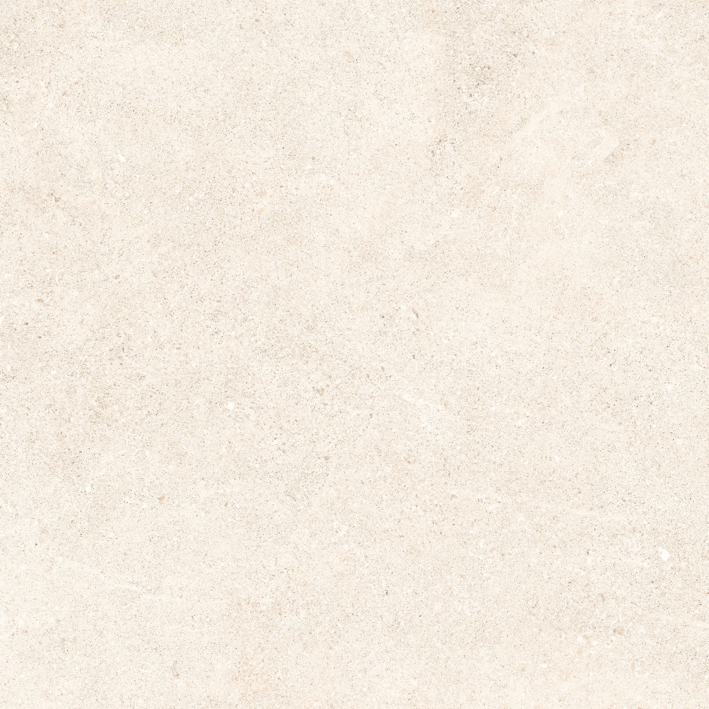 24"x48" Padova Bone 20MM R11 Rectified