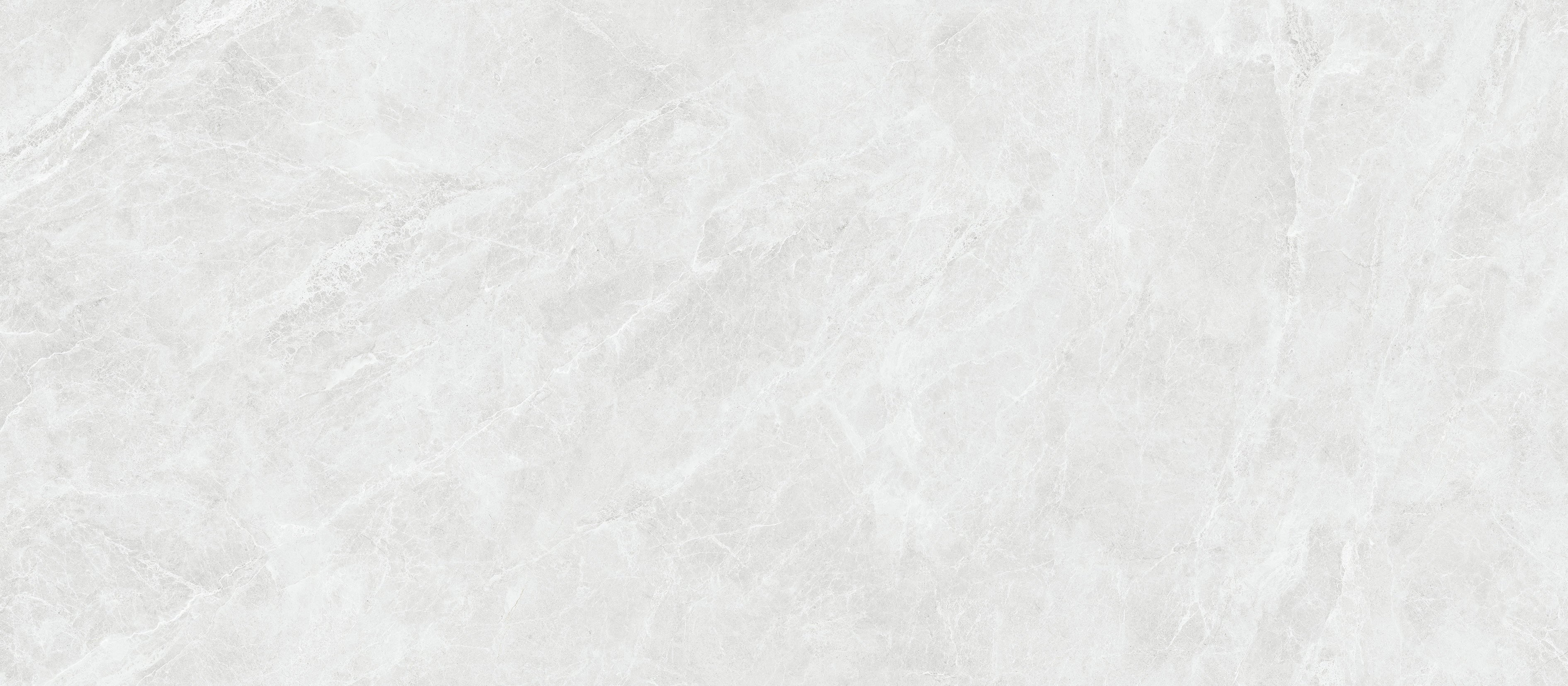 48"x110" Swan Light Gray Polished Rectified 6MM