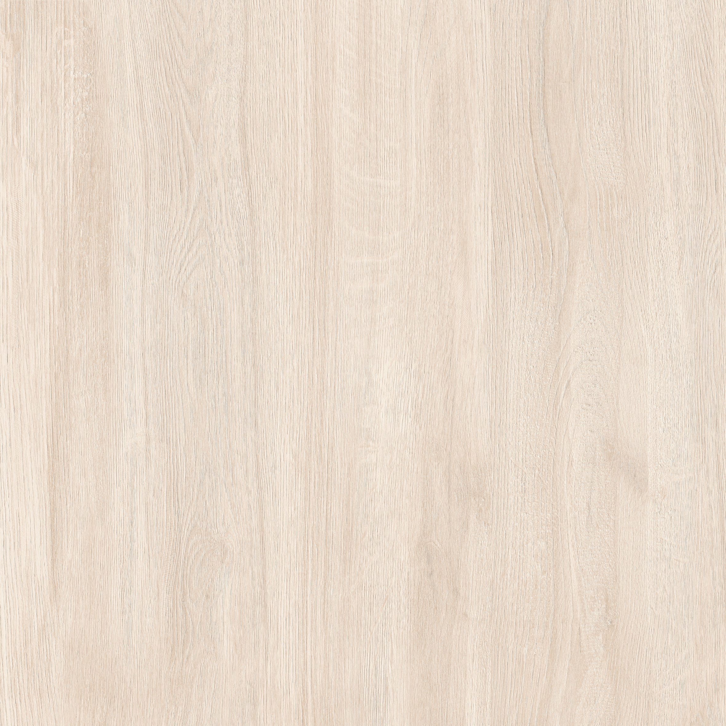 24"x24" Sakura Ivory 20MM R11 Rectified