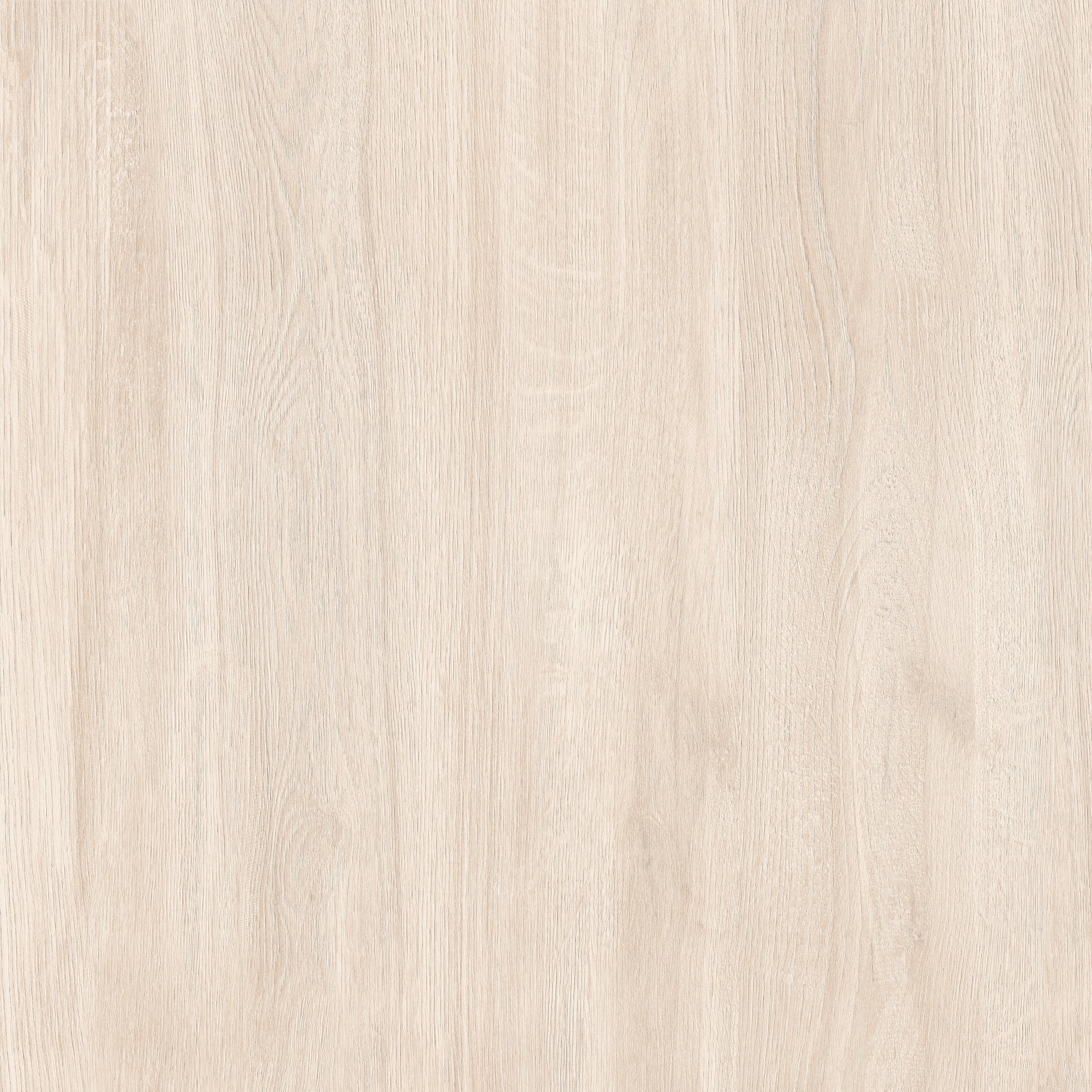 24"x24" Sakura Ivory 20MM R11 Rectified