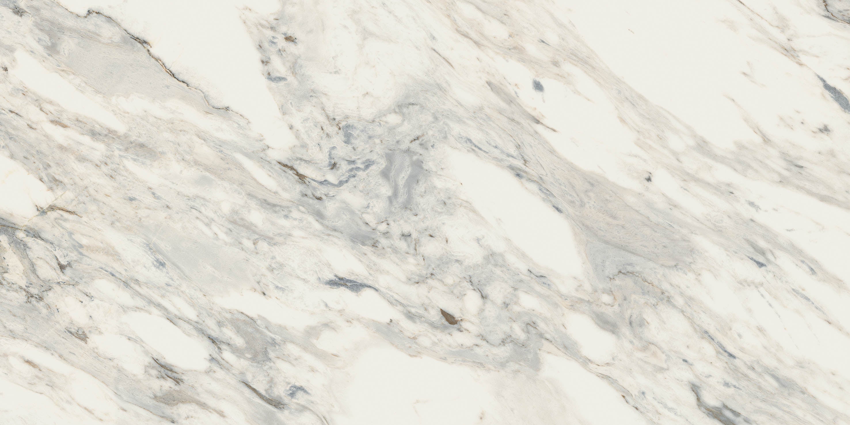 24"x48" Flora Rectified Polished Nano