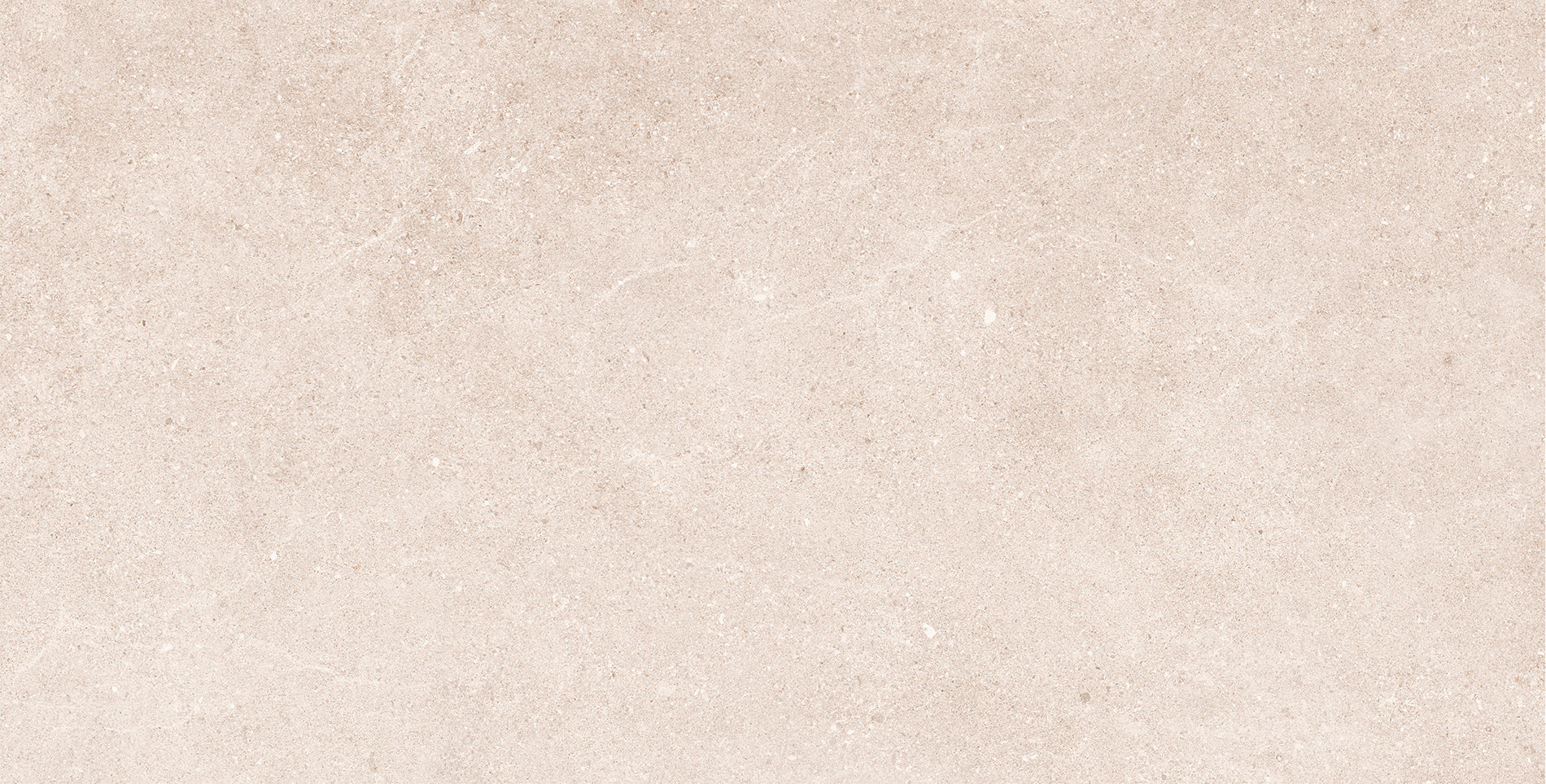 24"x48" Padova Bone Rectified