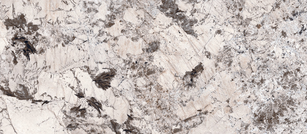48"x110" Bianco Antico DF Polished Rectified 6MM