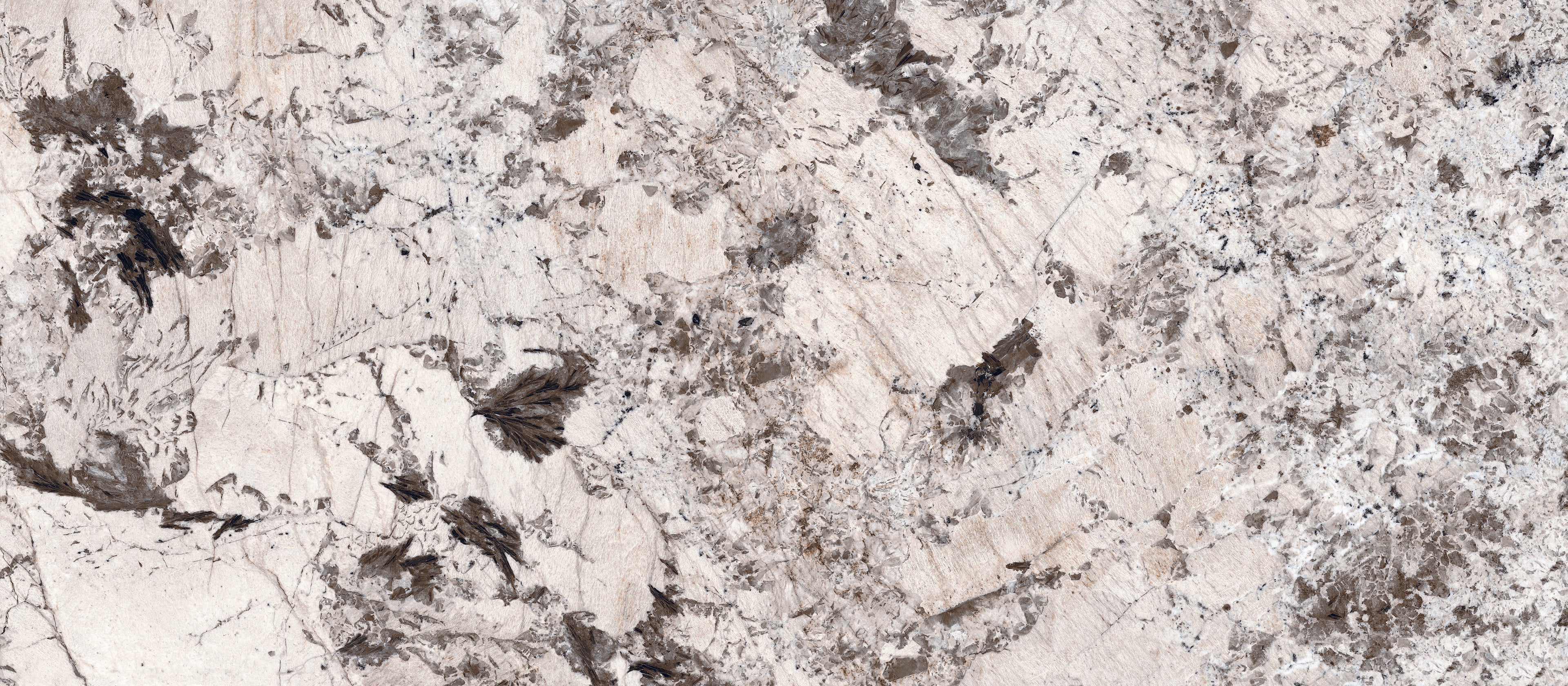48"x110" Bianco Antico DF Polished Rectified 6MM