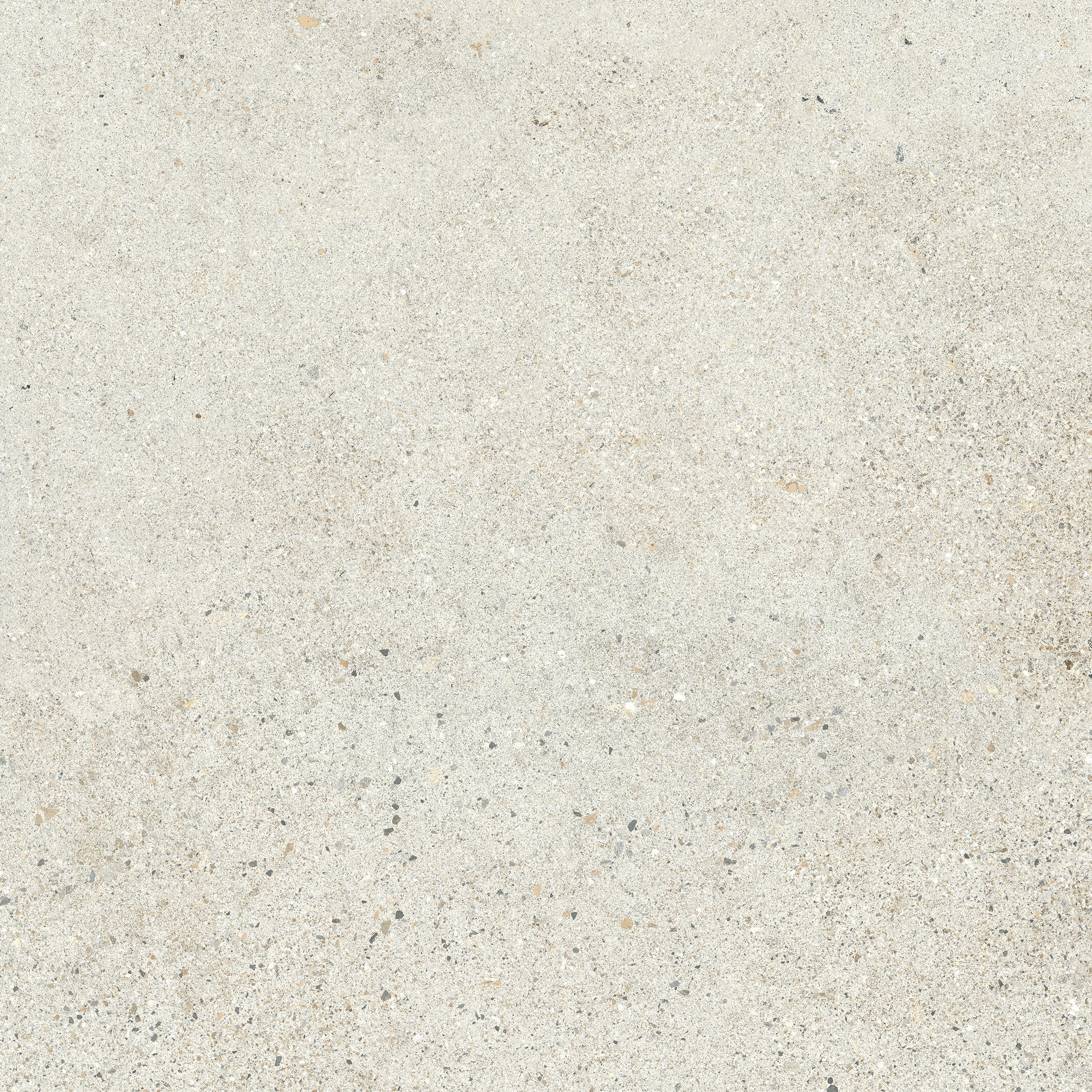 24"x24" Octavia Bone 20MM R11 Rectified