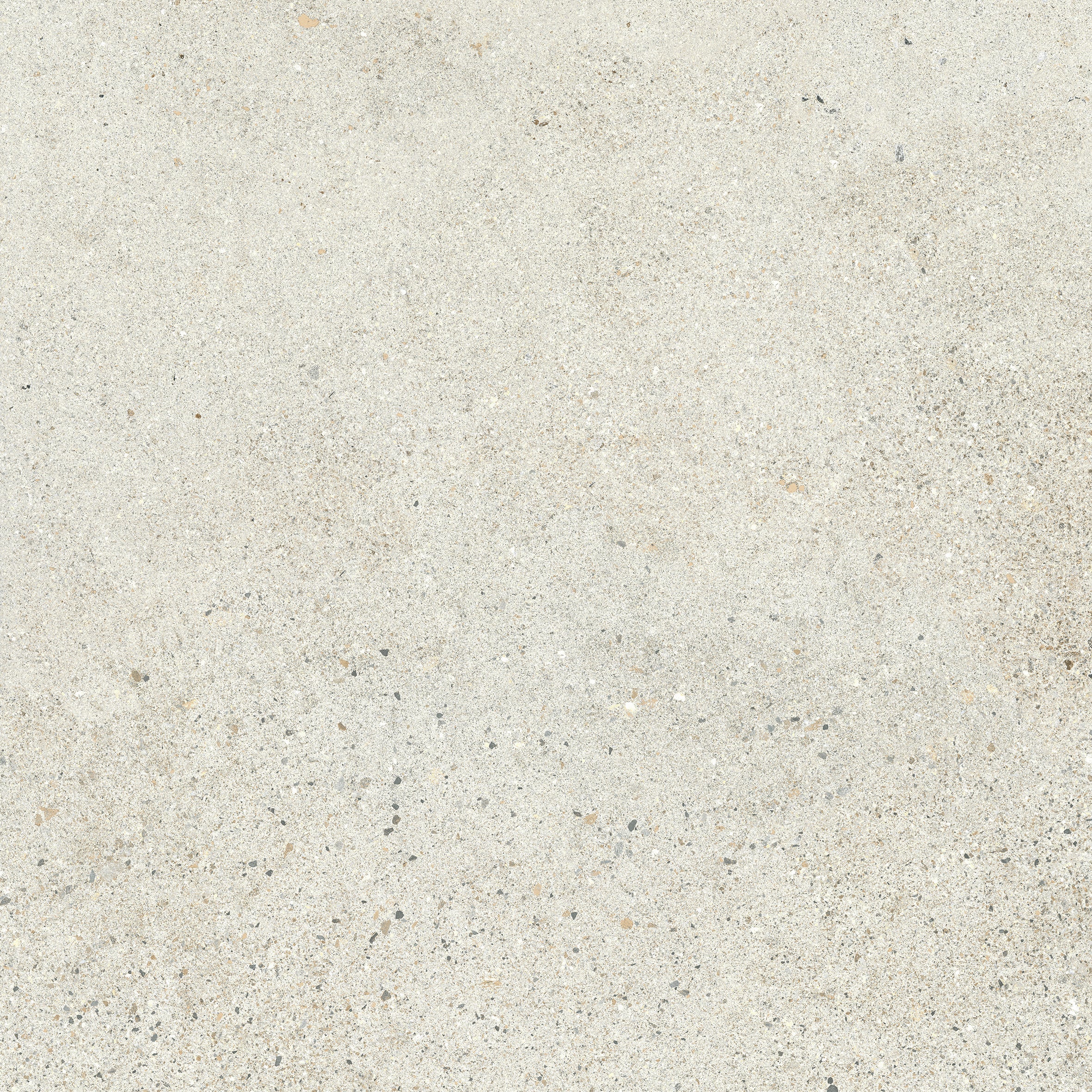 24"x24" Octavia Bone 20MM R11 Rectified
