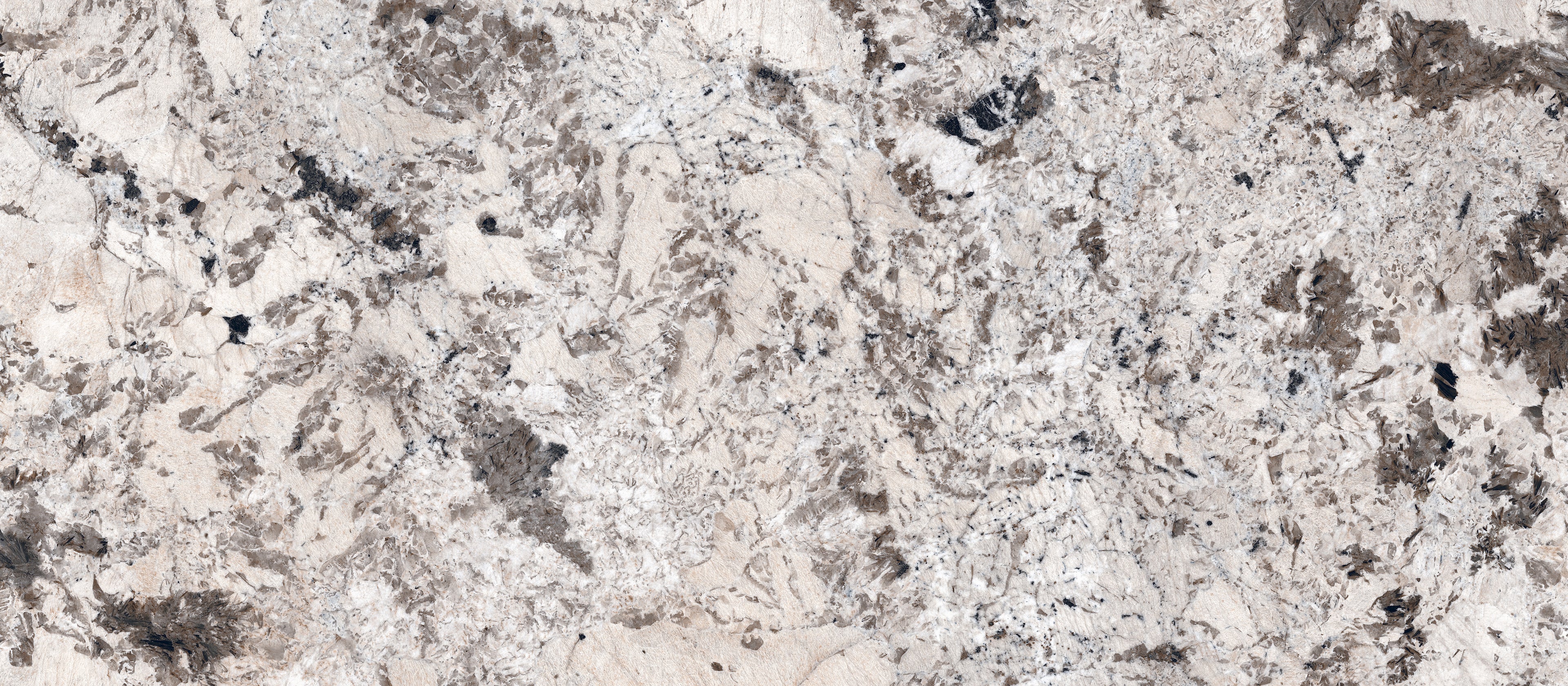 48"x110" Bianco Antico DF Polished Rectified 6MM