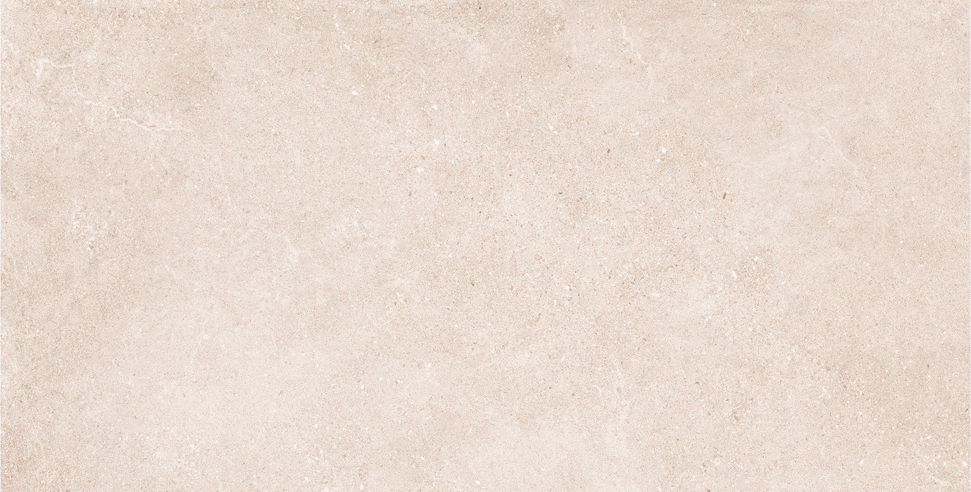 24"x48" Padova Bone Rectified
