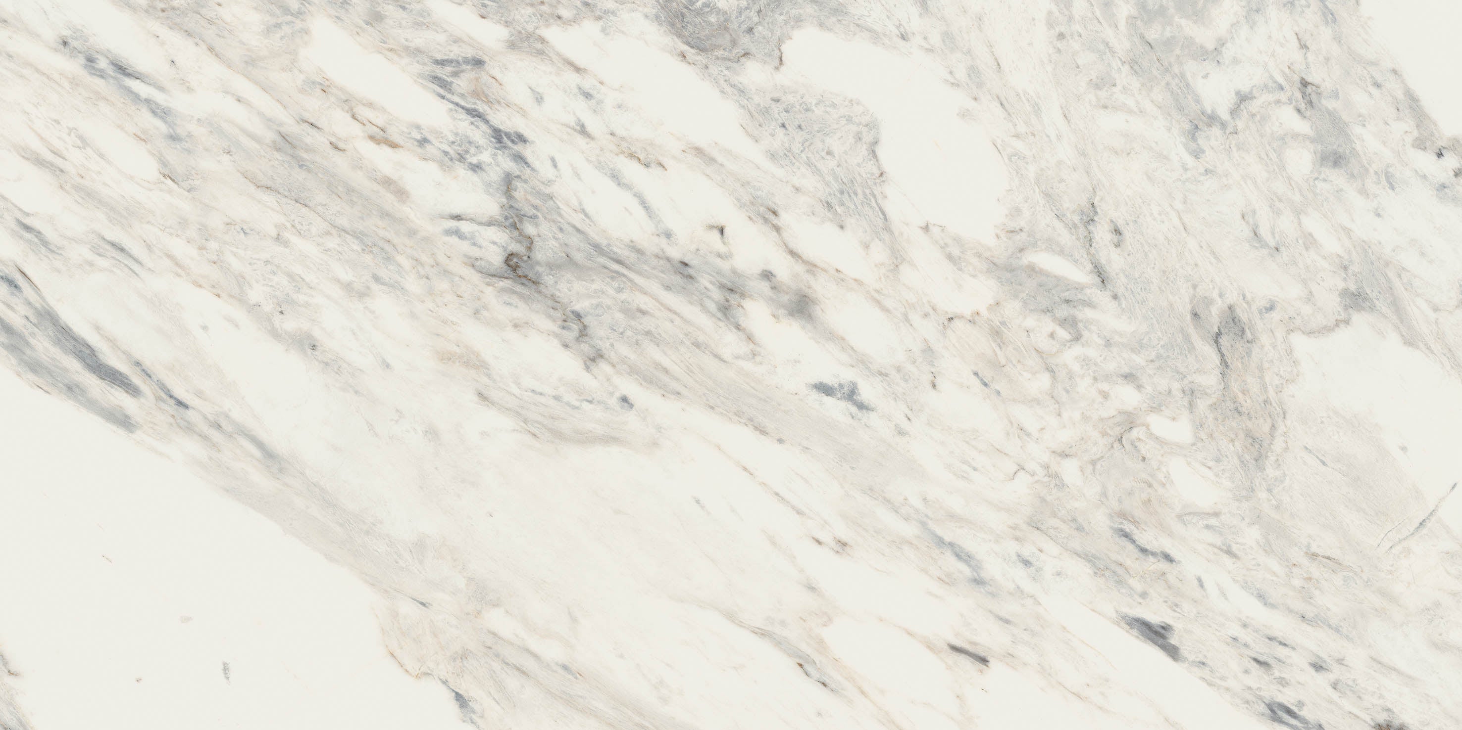 24"x48" Flora Rectified Polished Nano
