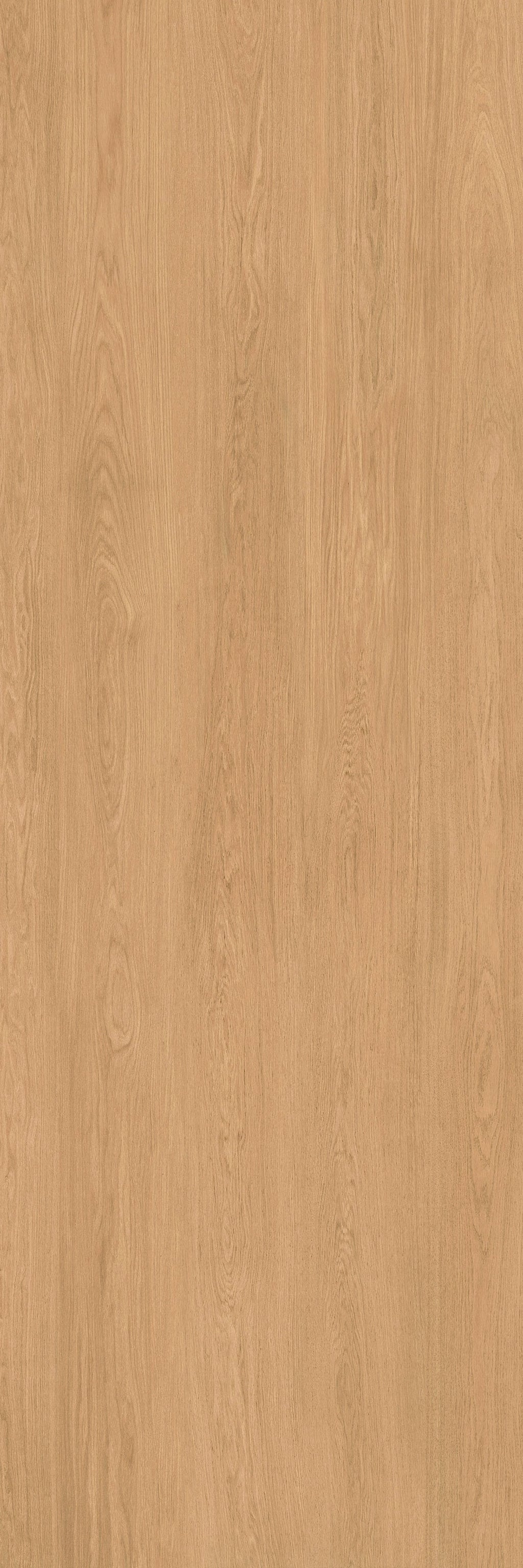 40"x120" Urbano Matte Oak Rectified 3MM Slim