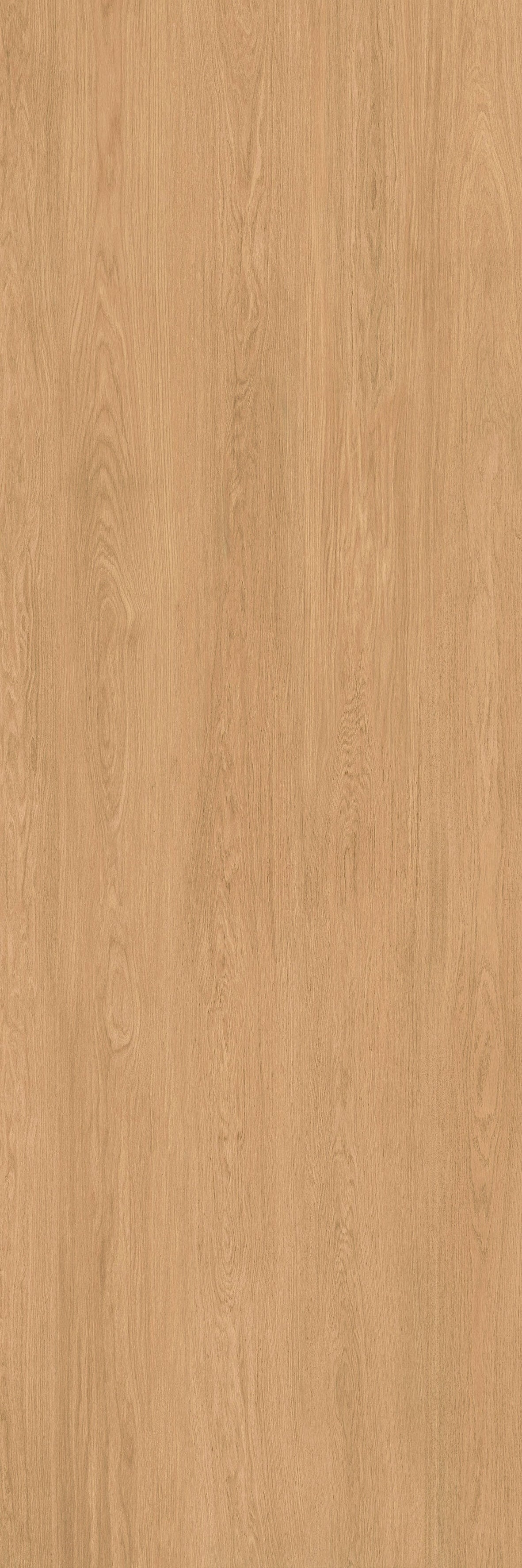 40"x120" Urbano Matte Oak Rectified 3MM Slim