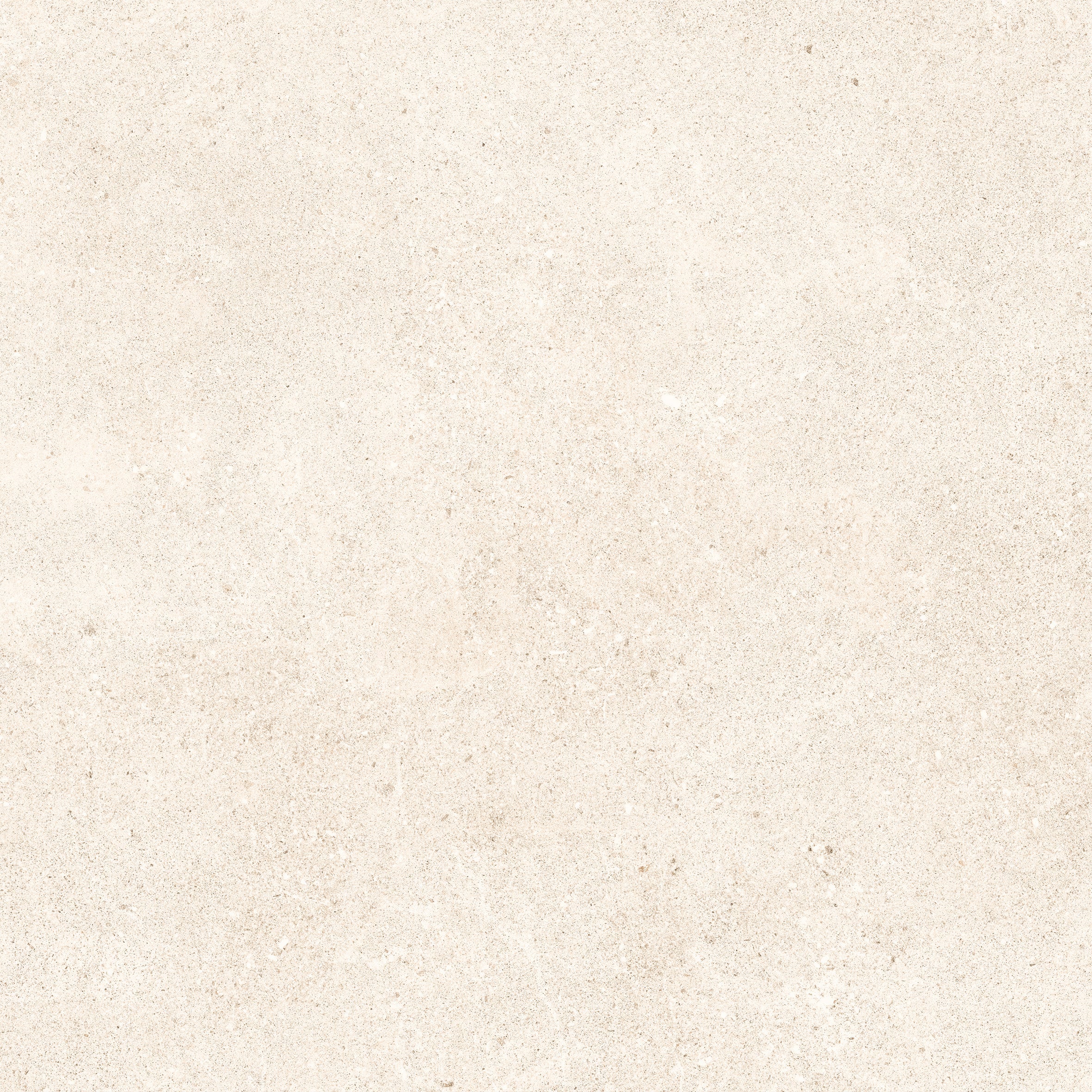 24"x48" Padova Bone 20MM R11 Rectified