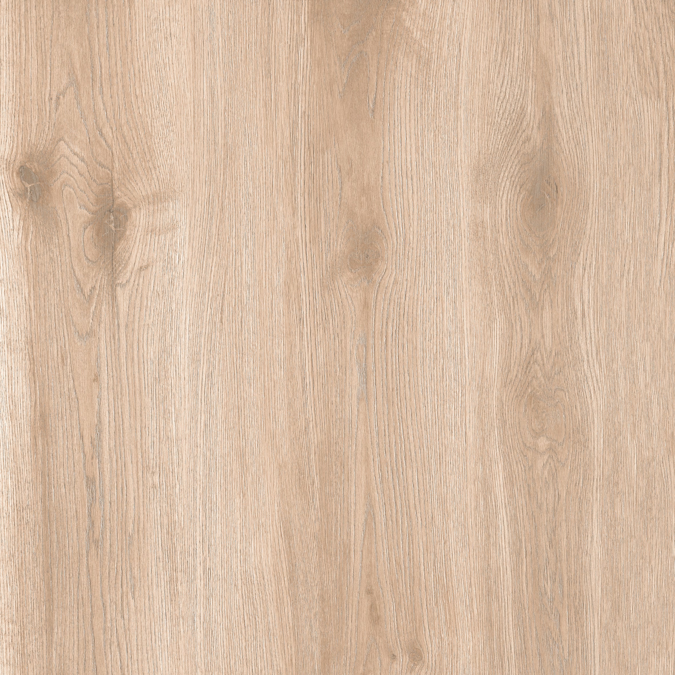 24"x24" Sakura Beige 20MM R11 Rectified