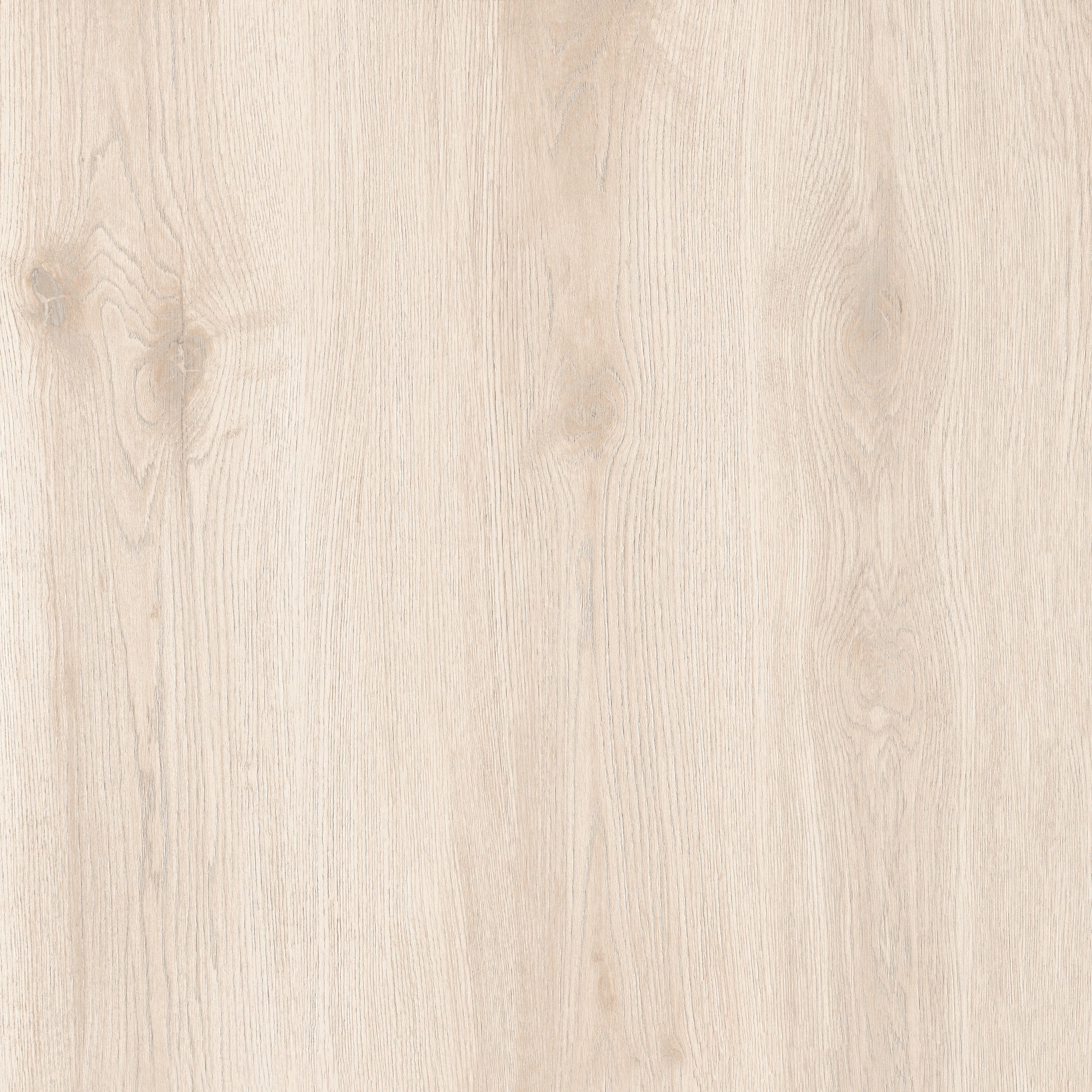 24"x24" Sakura Ivory 20MM R11 Rectified