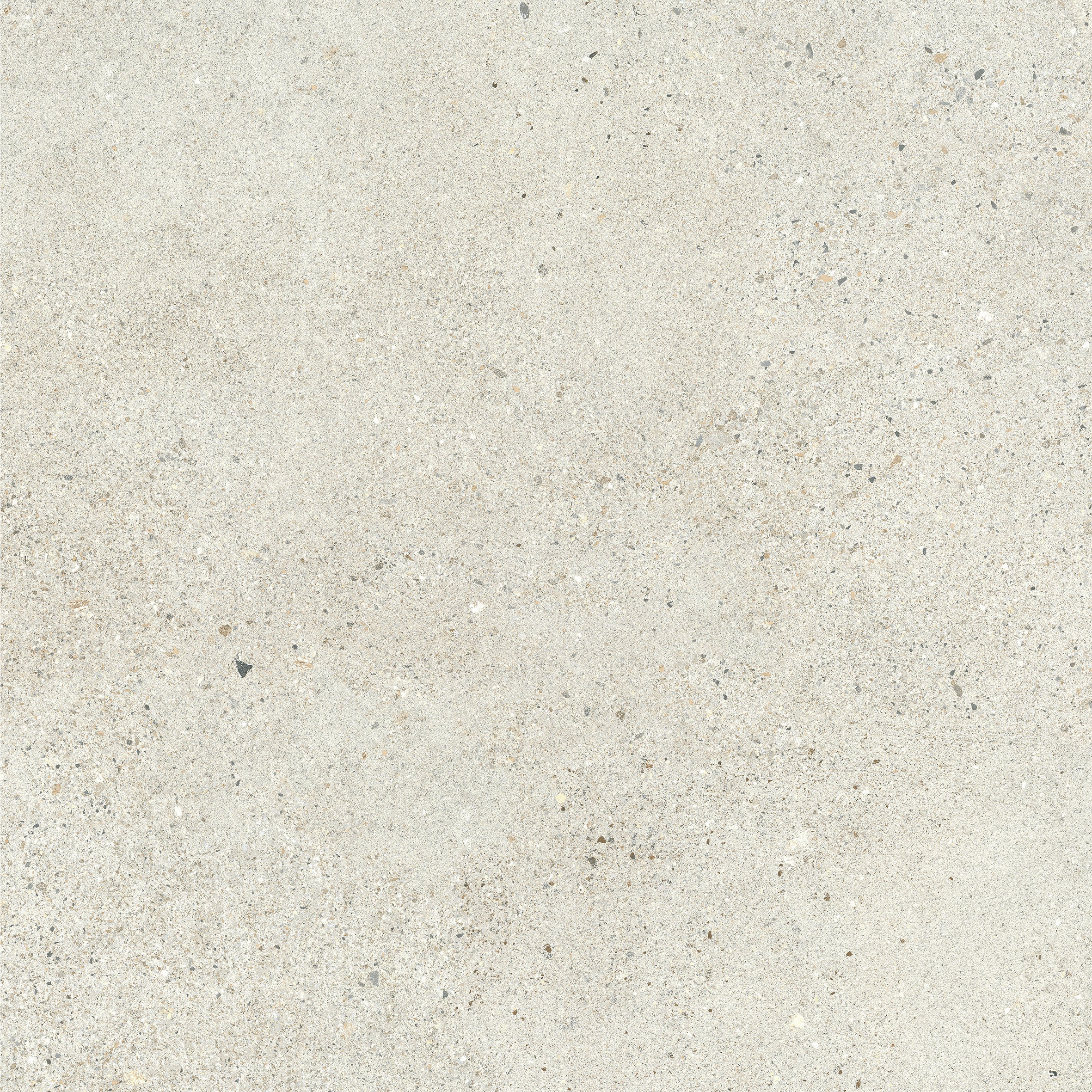 24"x24" Octavia Bone 20MM R11 Rectified