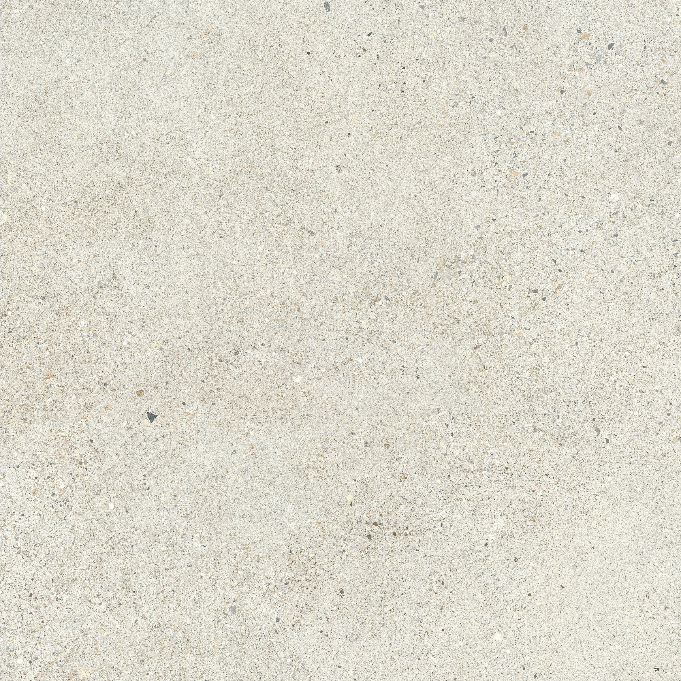 24"x24" Octavia Bone 20MM R11 Rectified