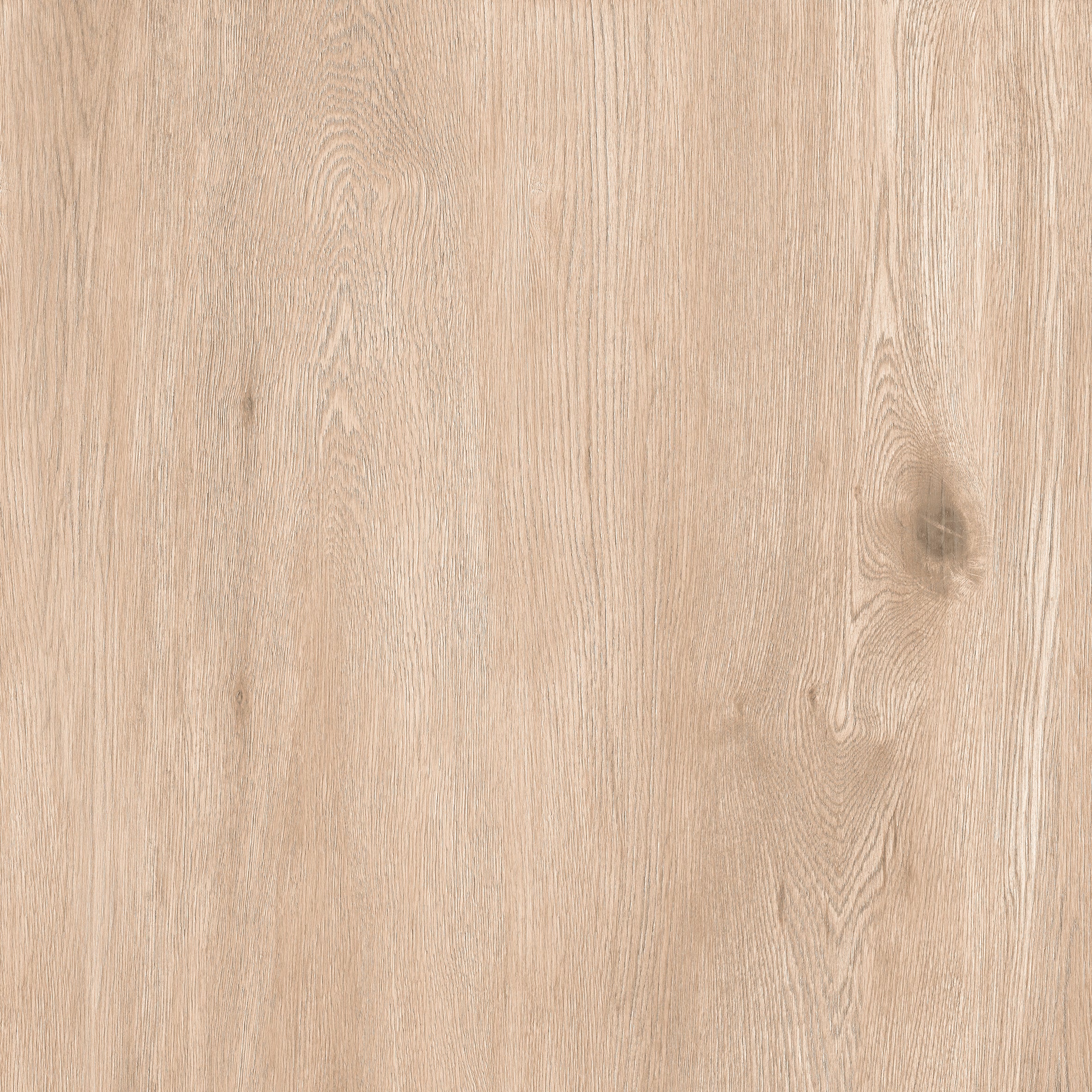 24"x24" Sakura Beige 20MM R11 Rectified